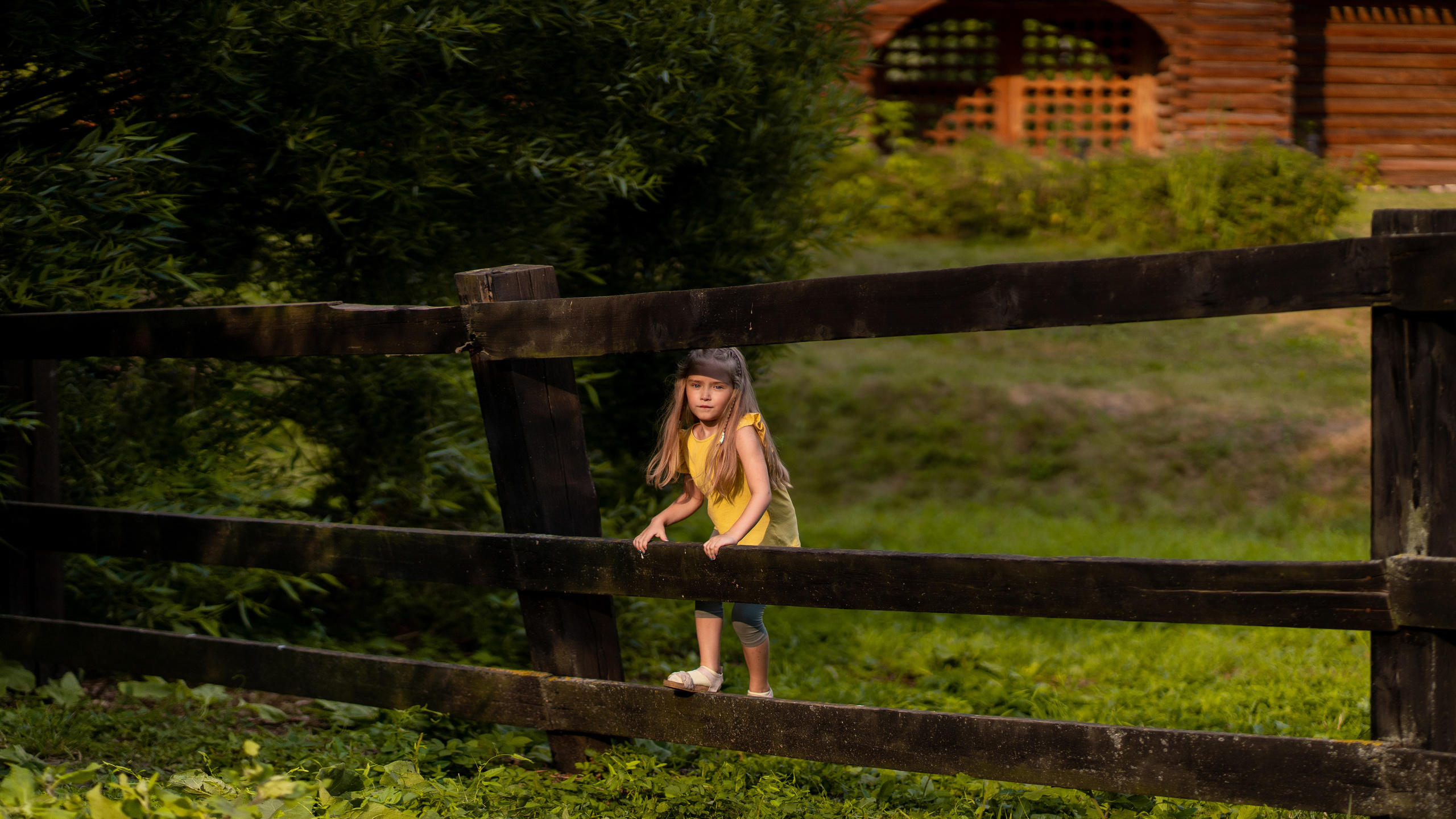 Фотосеты. Андрей Колесник