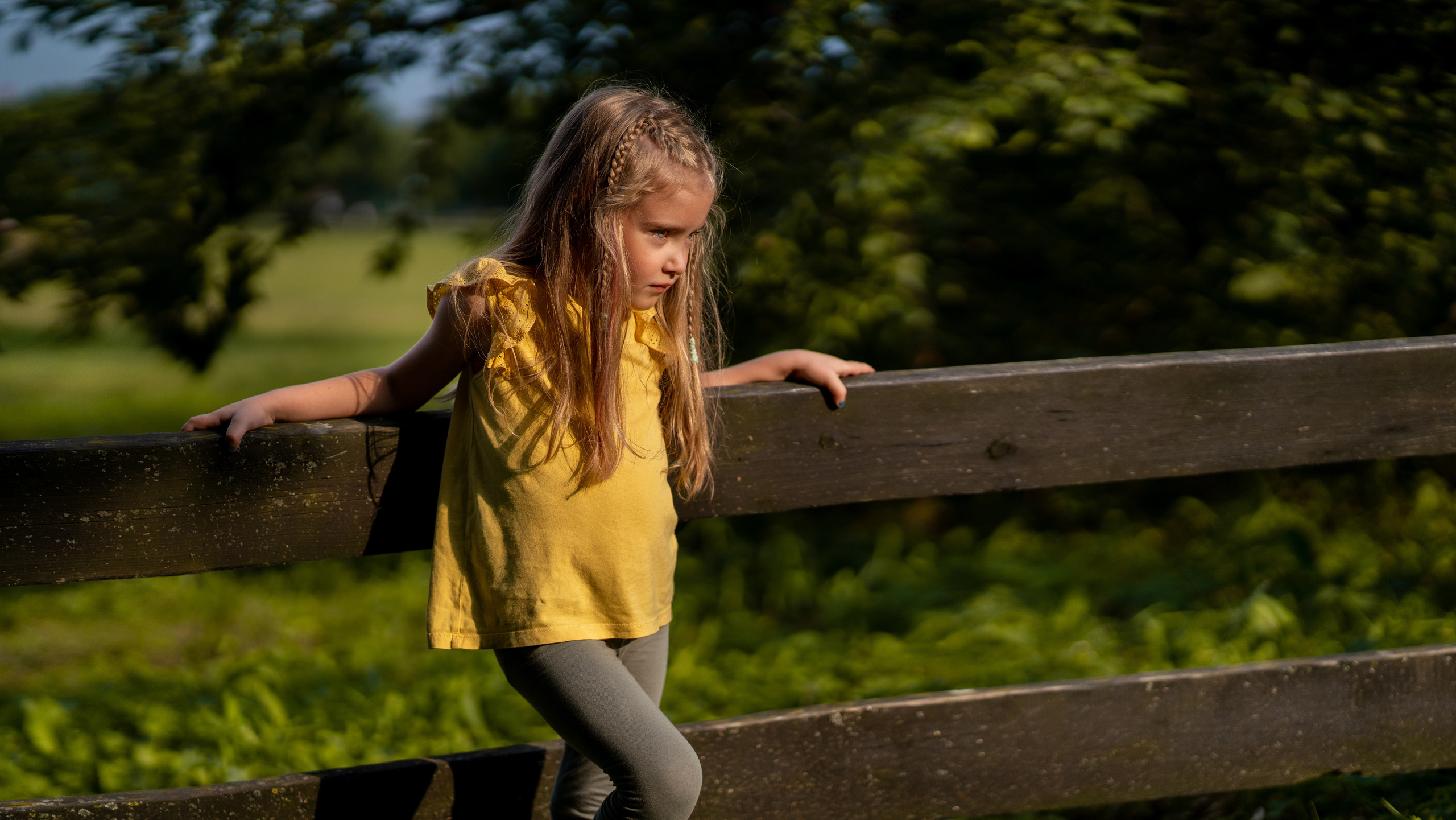 Фотосеты. Андрей Колесник
