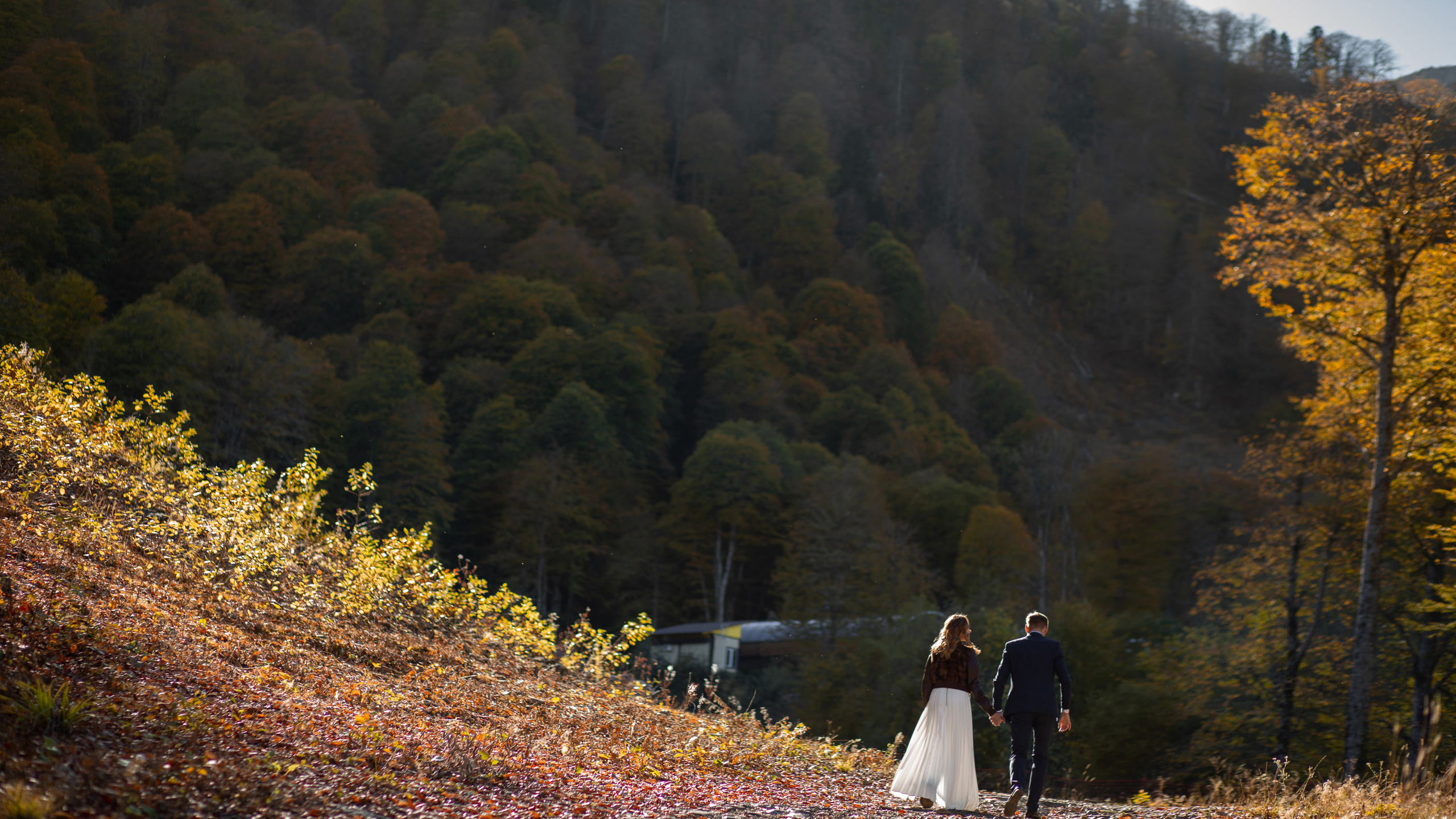 Свадьба. Андрей Колесник