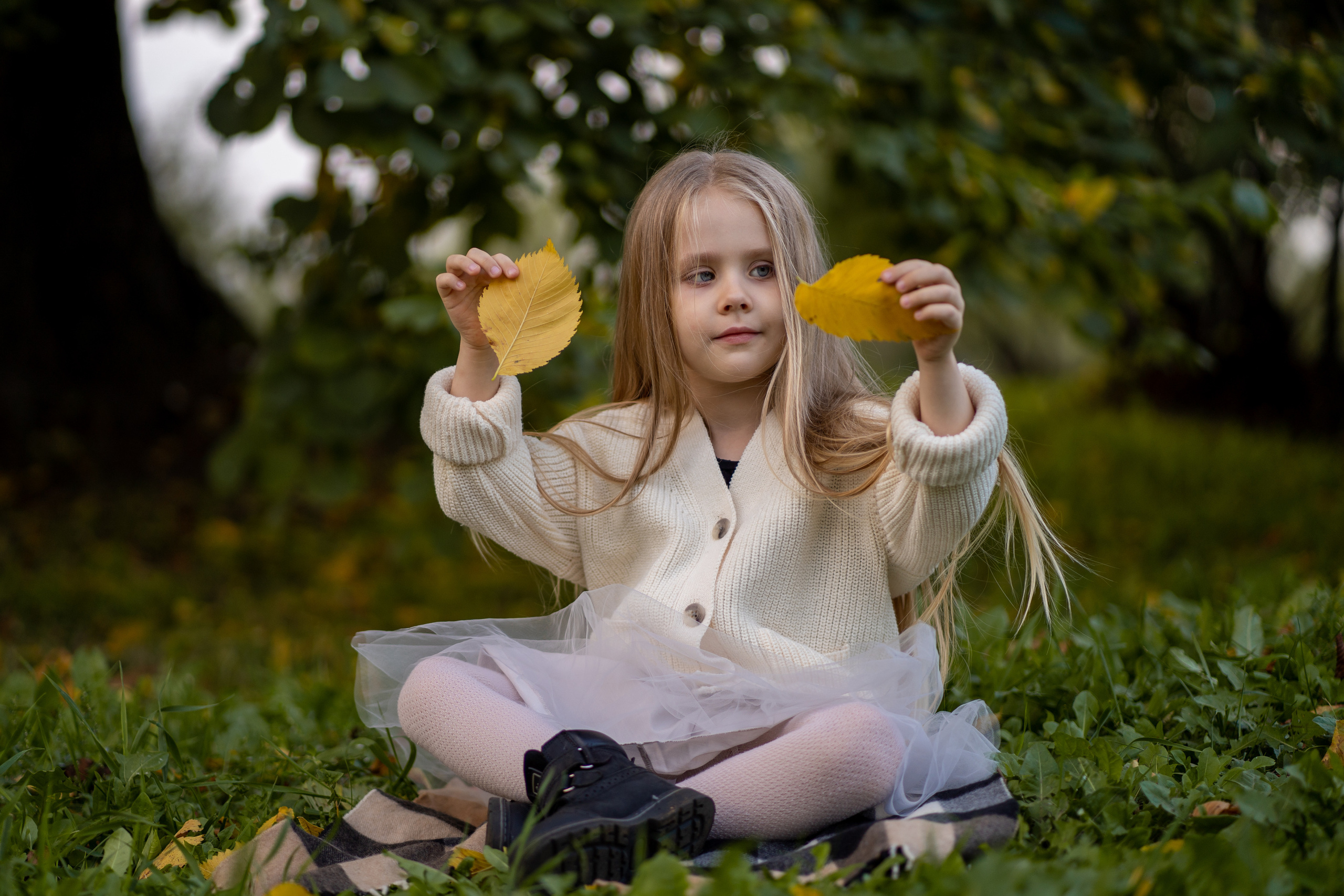 Фотосеты. Андрей Колесник