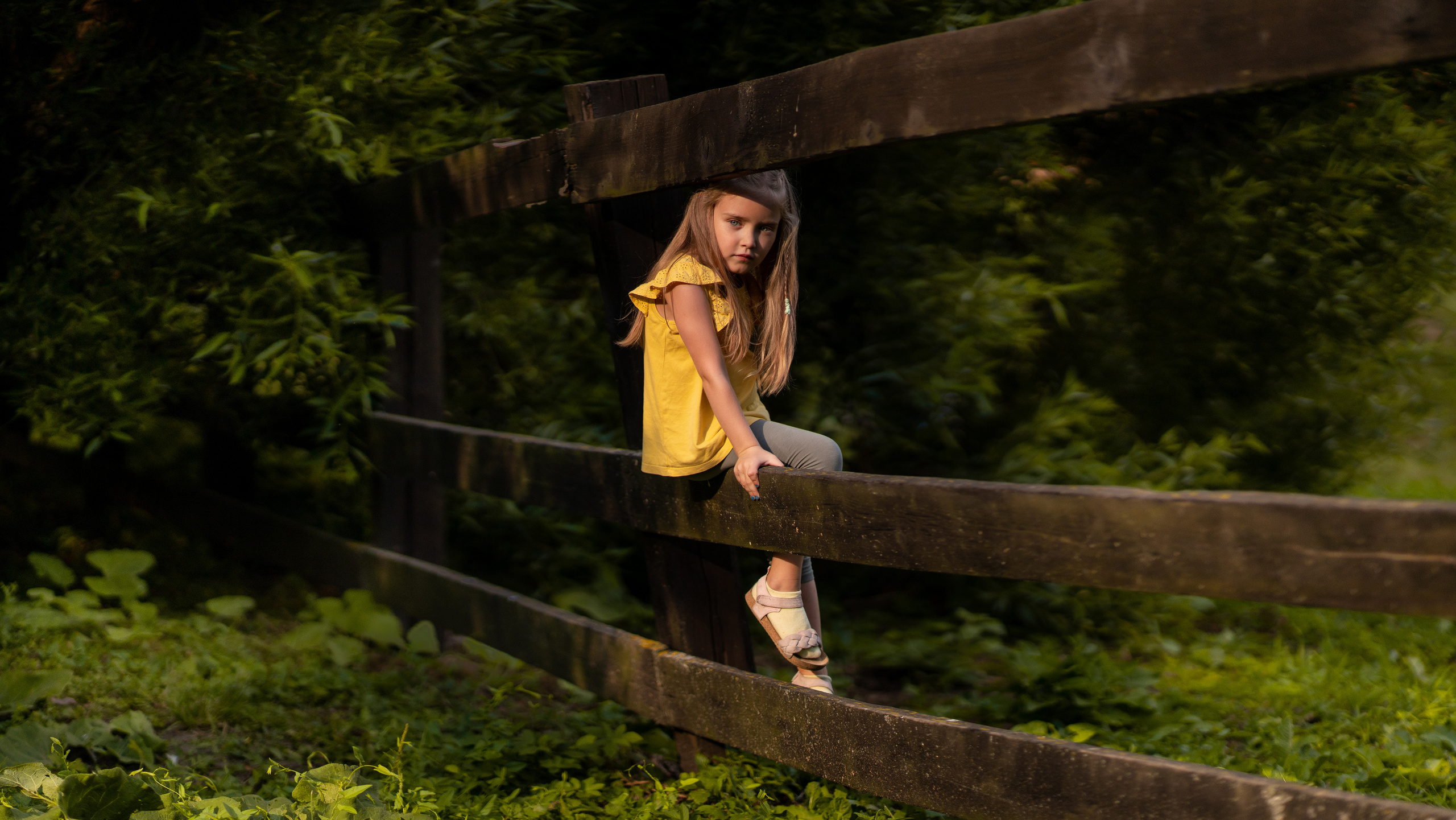 Фотосеты. Андрей Колесник