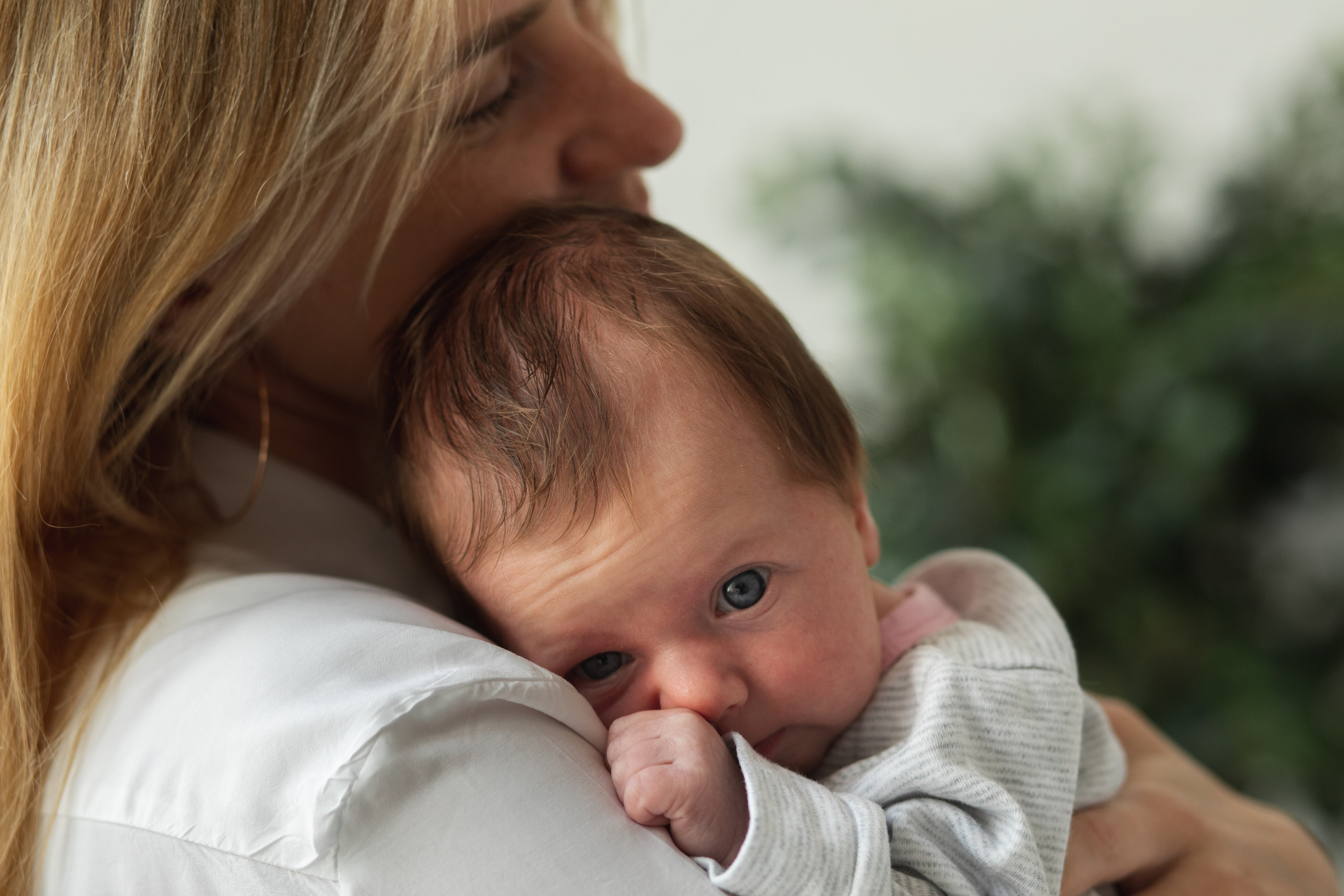 New born. Андрей Колесник