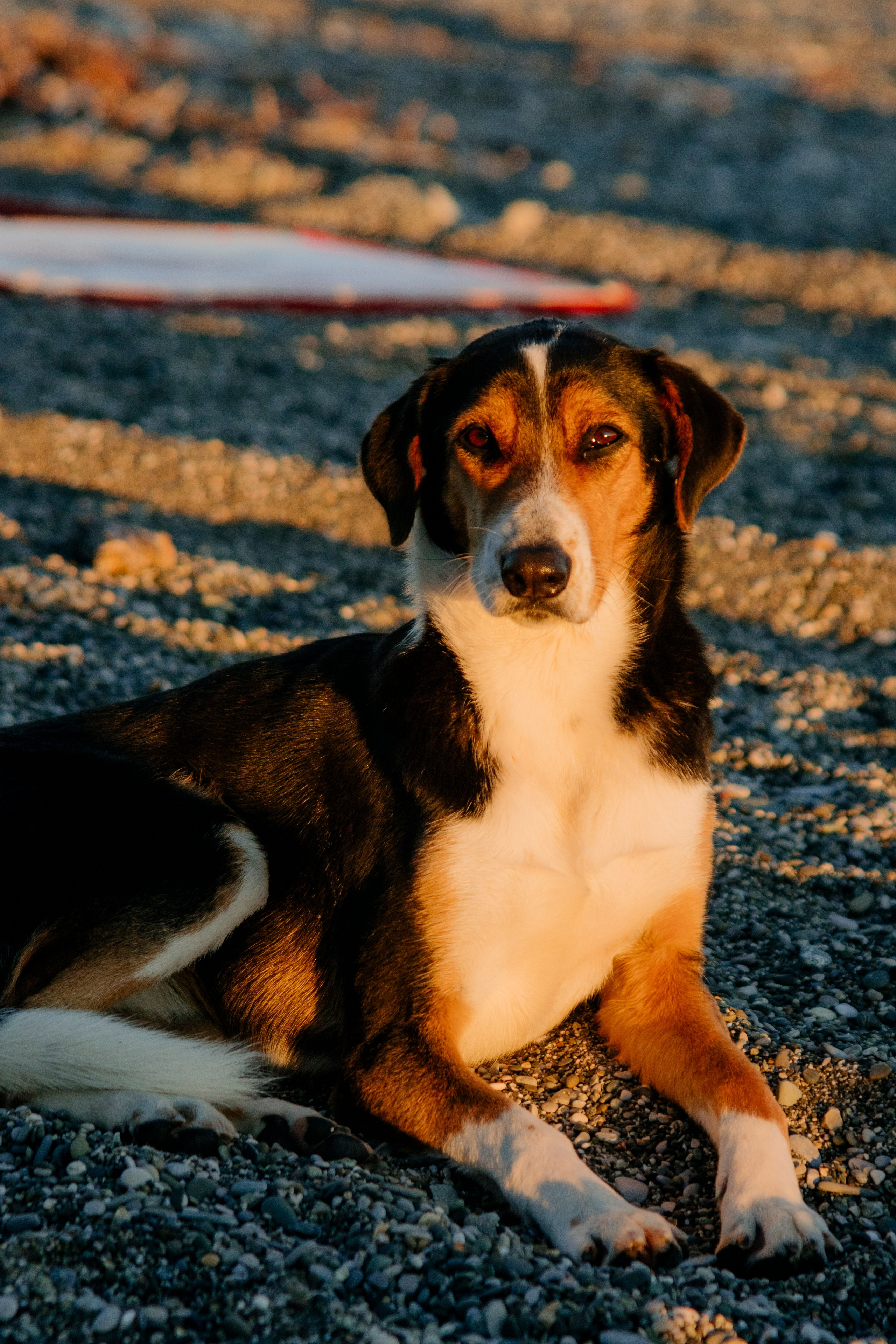 Абхазия. Iraogo