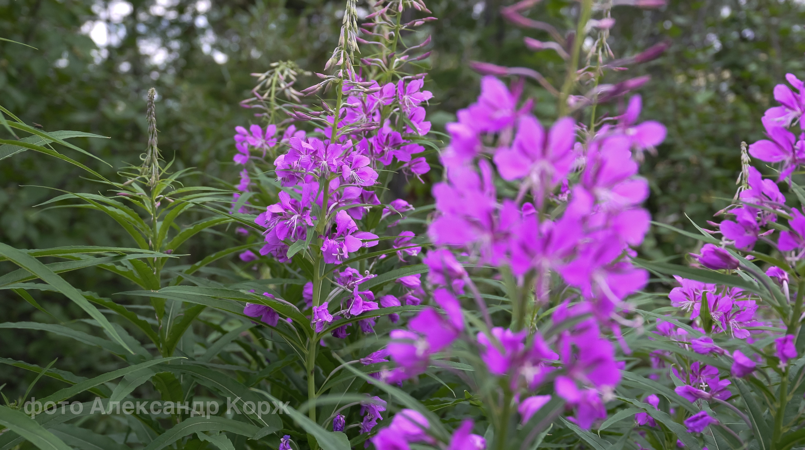 Фотографии Северного поселка Айхал. Фотографии и видеосъемка, Айхал, Удачный, Якутия. Фотографии Айхал
