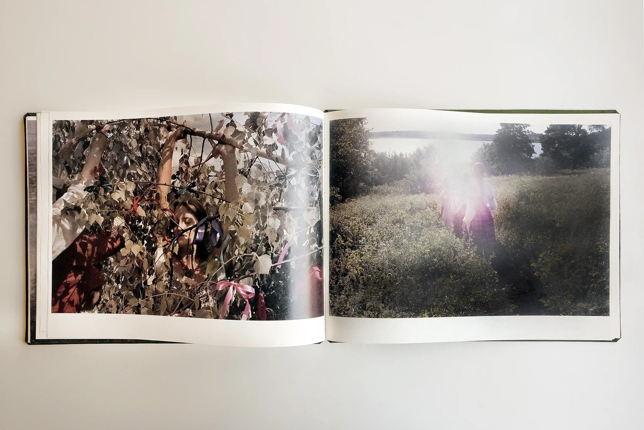 ПОПУЛЯРНЫЕ ОШИБКИ ПРИ СОЗДАНИИ ФОТОКНИГИ: Часть первая — про форму. Самоорганизация Низина