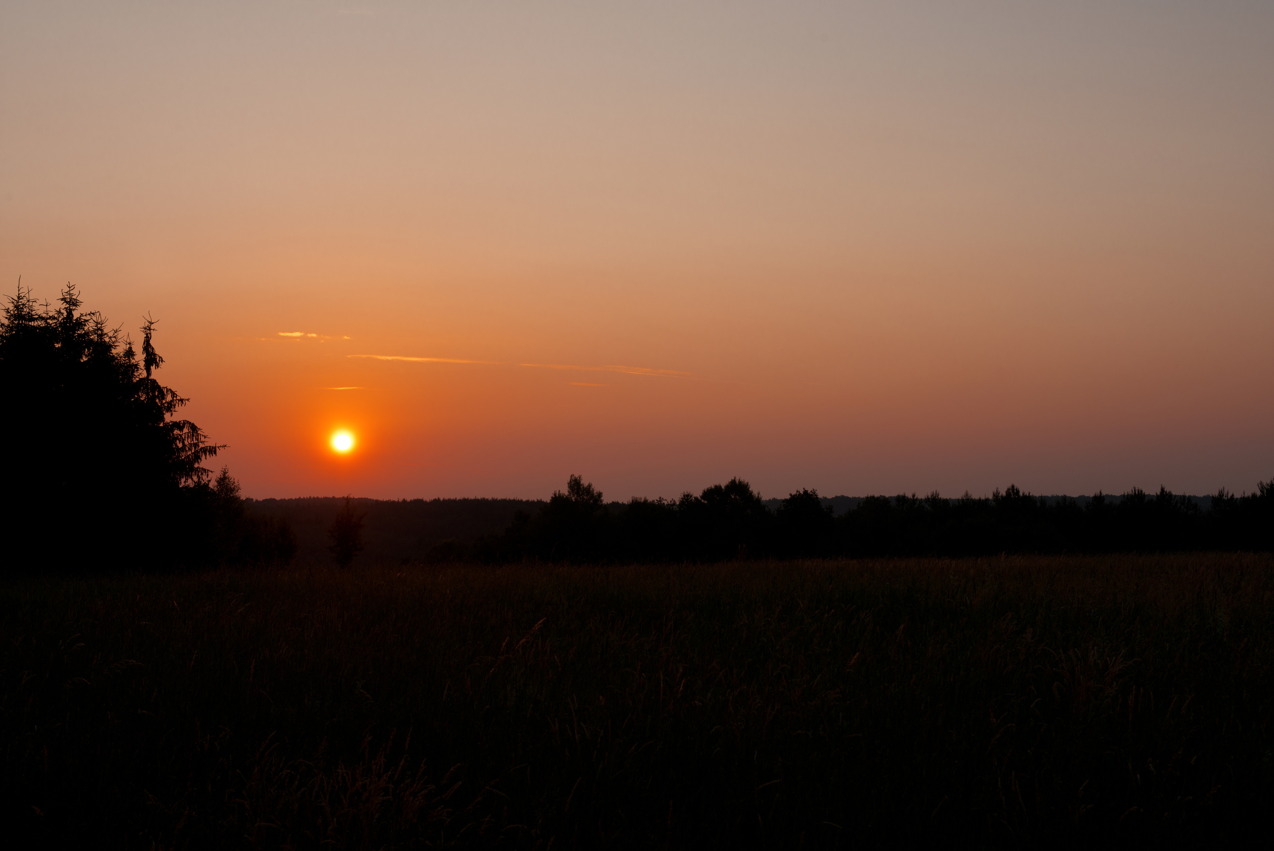 Венгрия-Чехия 2015. Фотограф-анималист Наталья Светличная