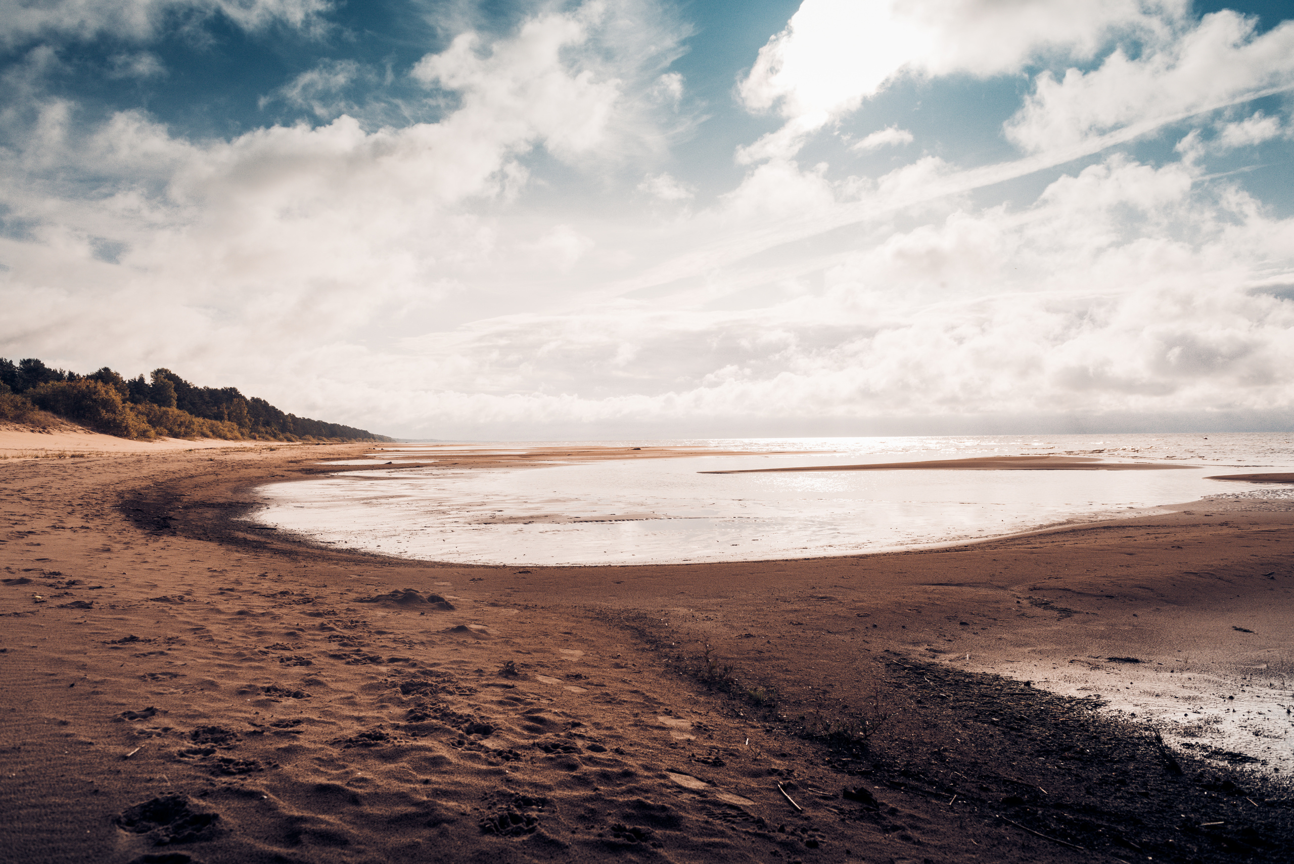 Эстония 2019. Фотограф-анималист Наталья Светличная