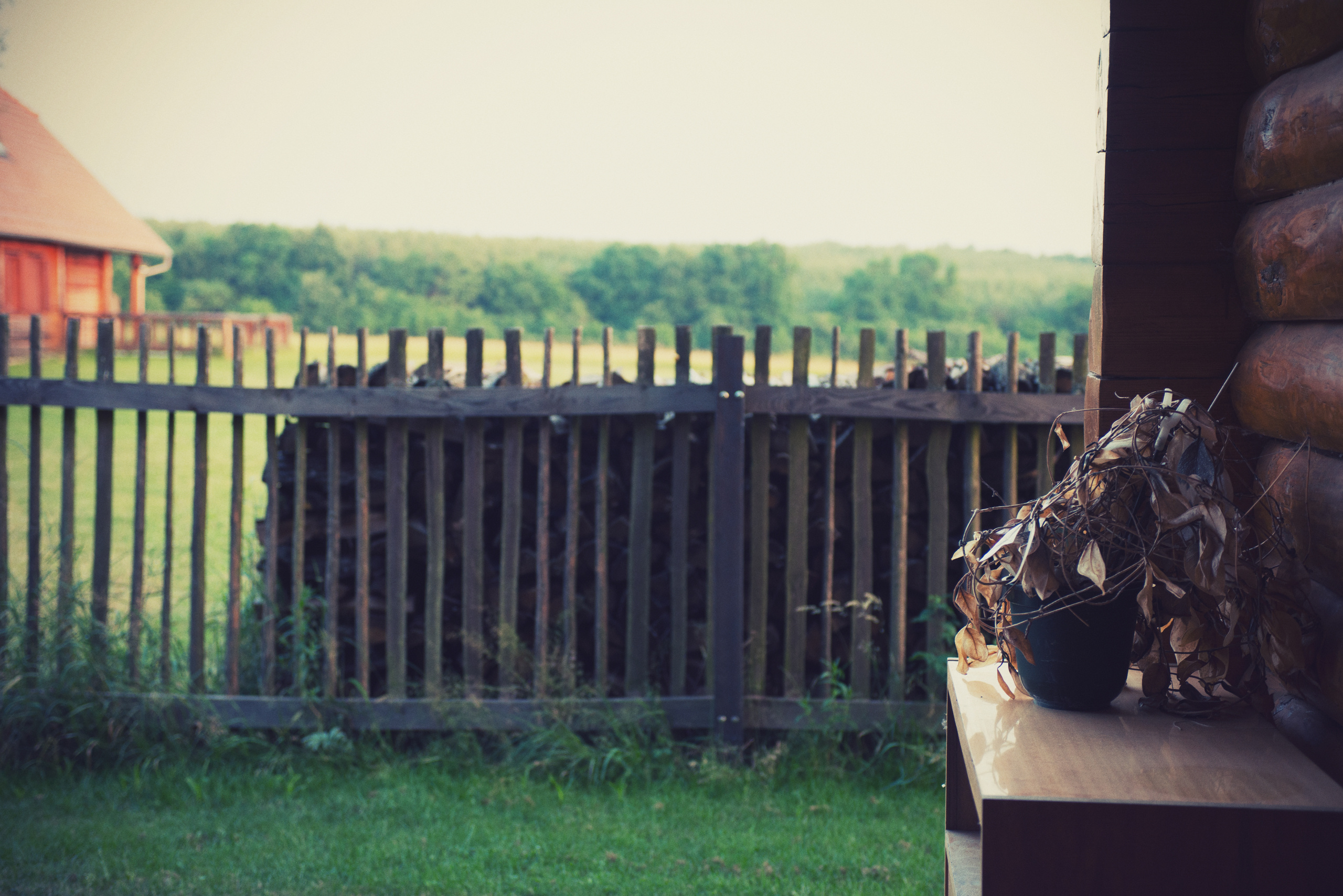 Венгрия-Чехия 2015. Фотограф-анималист Наталья Светличная