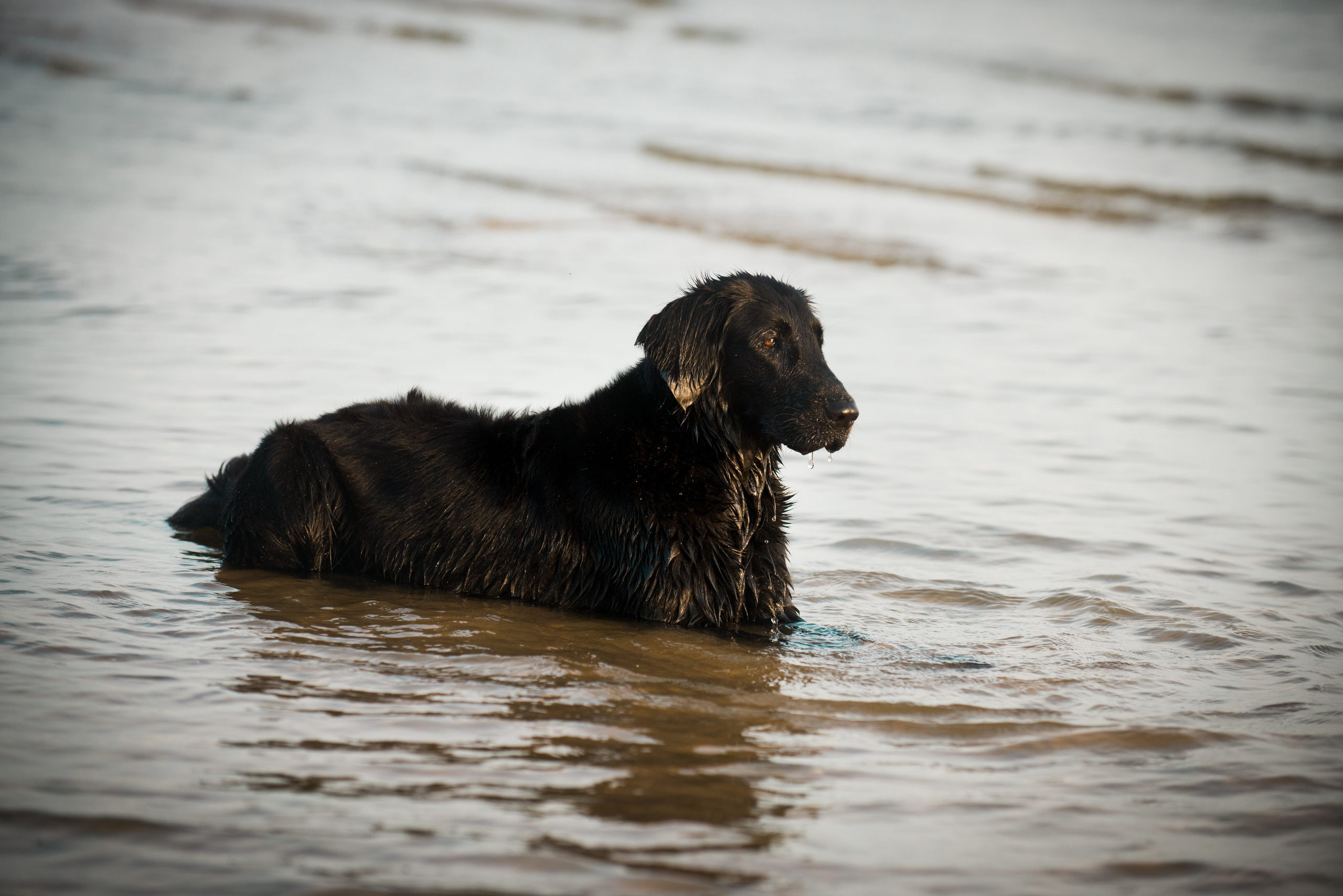 Эстония 2019. Фотограф-анималист Наталья Светличная