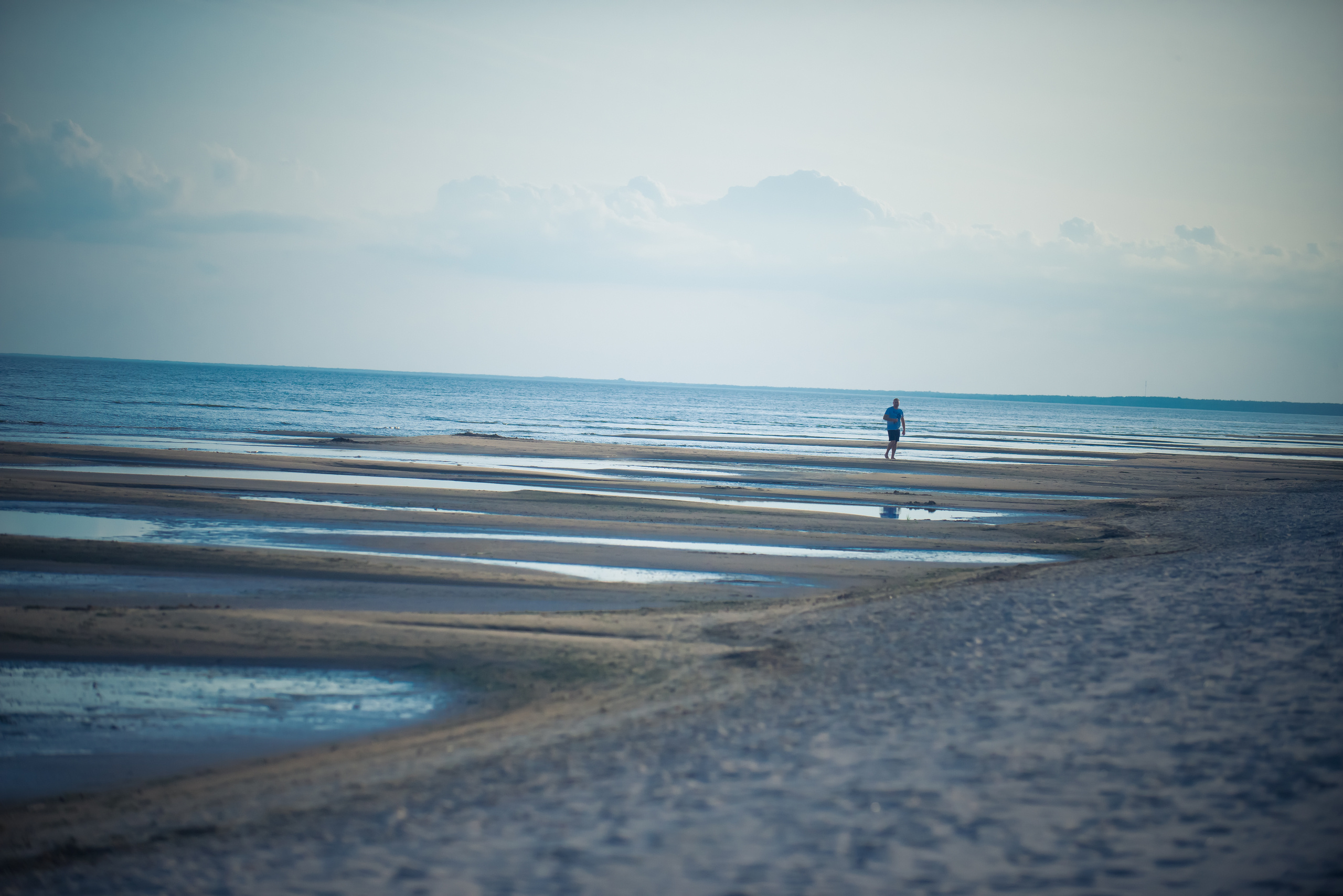 Эстония 2019. Фотограф-анималист Наталья Светличная