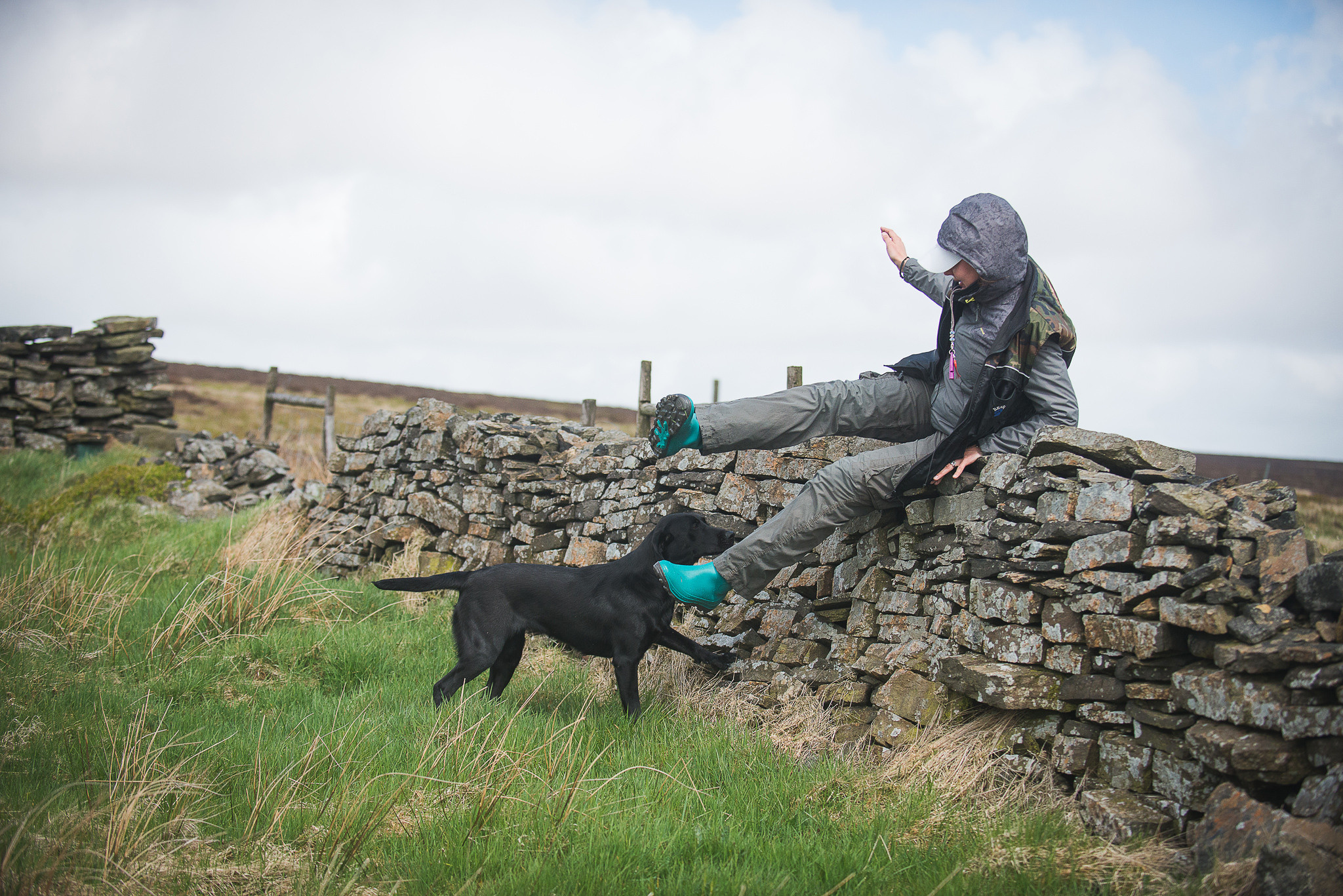 Тренинг с Wayne Mitсhell (Англия, 2018). Фотограф-анималист Наталья Светличная