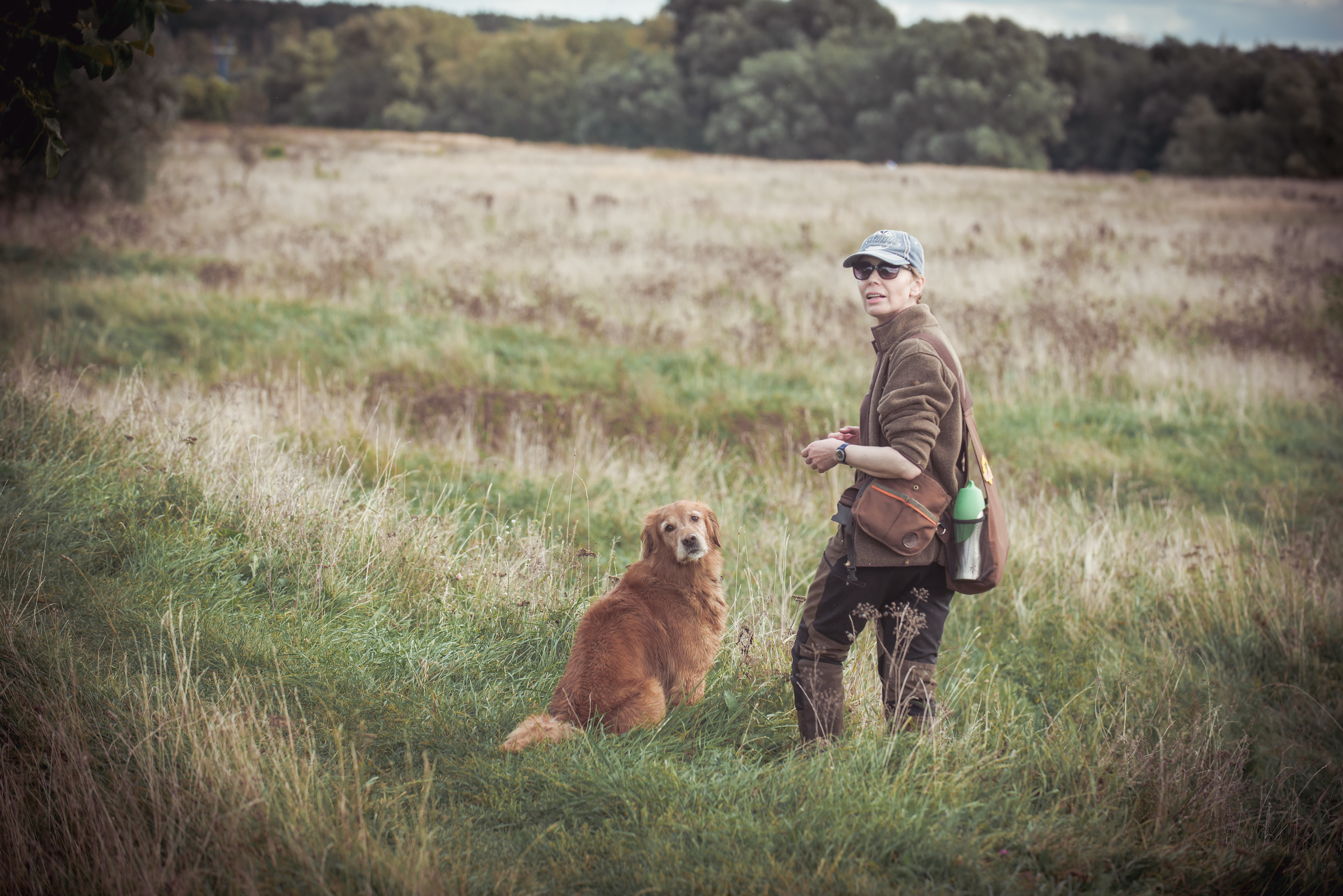 Голден ретривер Филя. Фотограф-анималист Наталья Светличная
