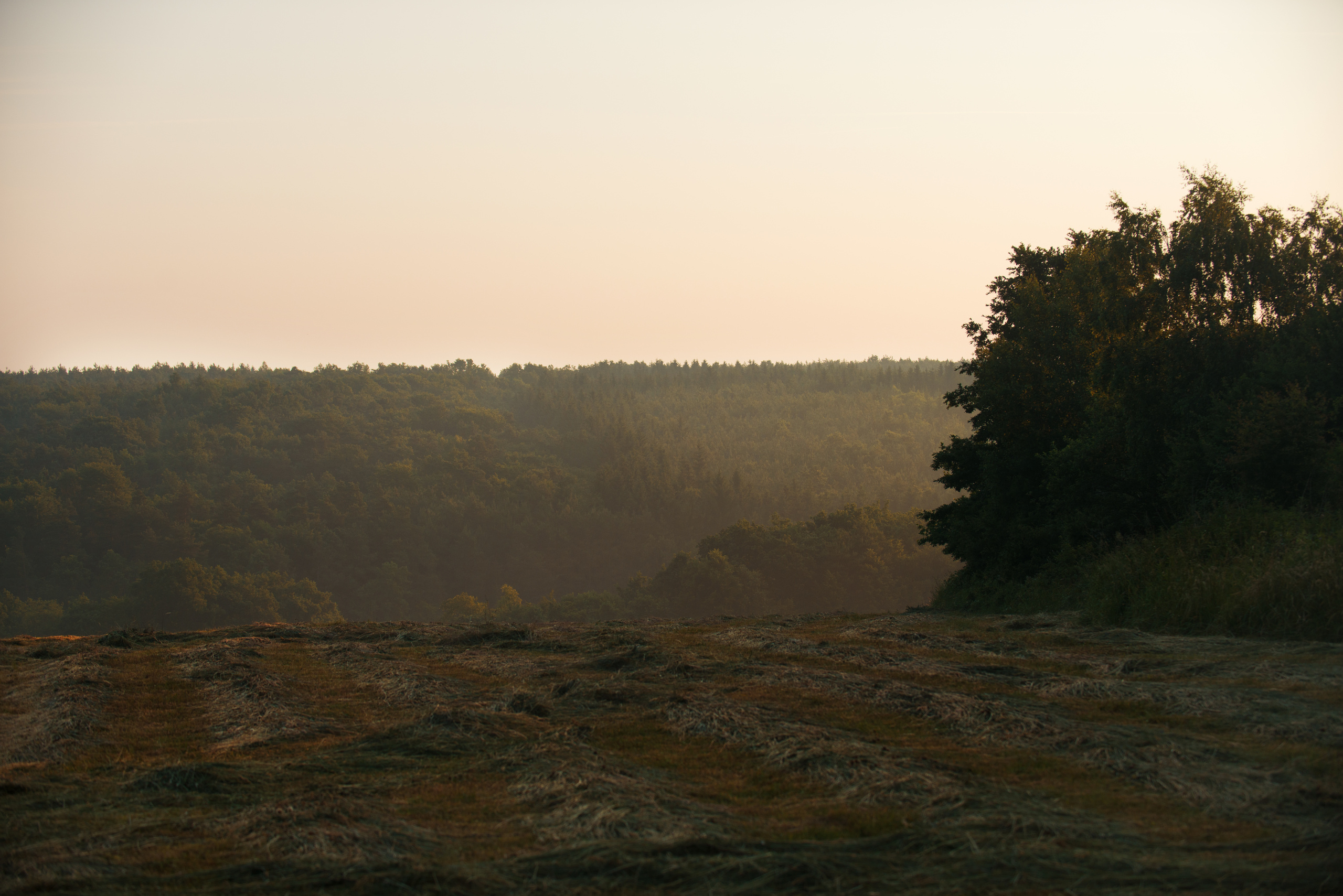 Венгрия-Чехия 2015. Фотограф-анималист Наталья Светличная