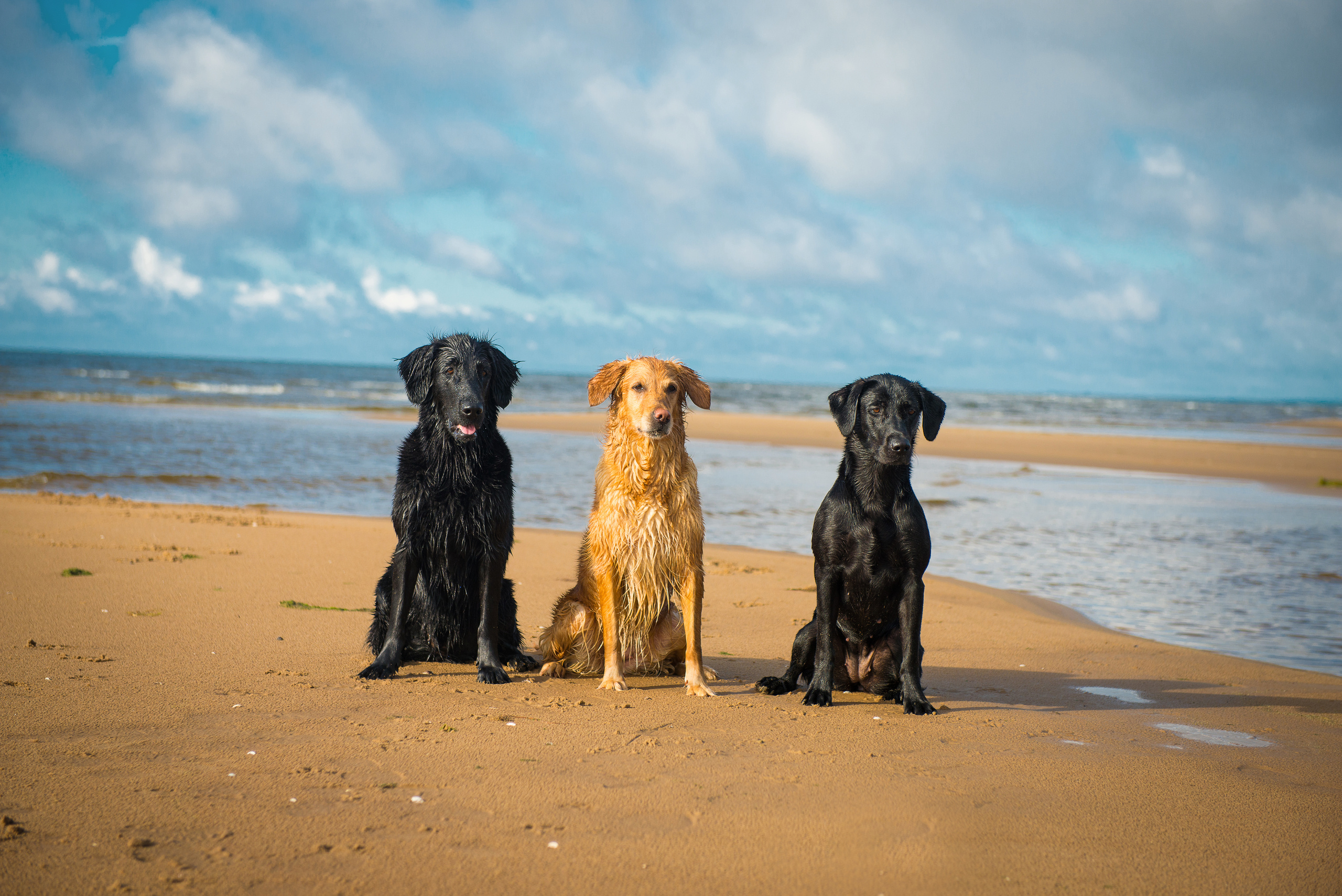 Эстония 2019. Фотограф-анималист Наталья Светличная