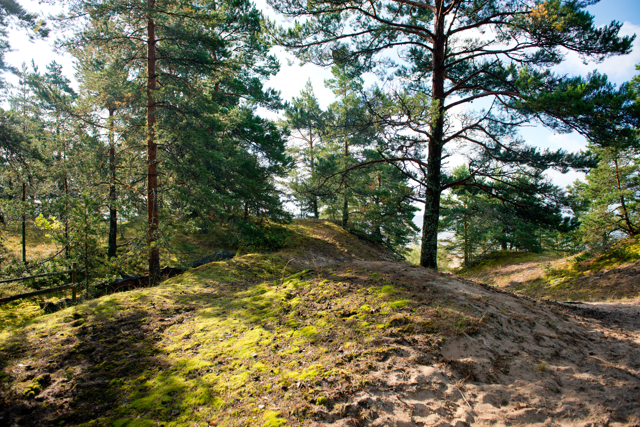 Эстония 2019. Фотограф-анималист Наталья Светличная