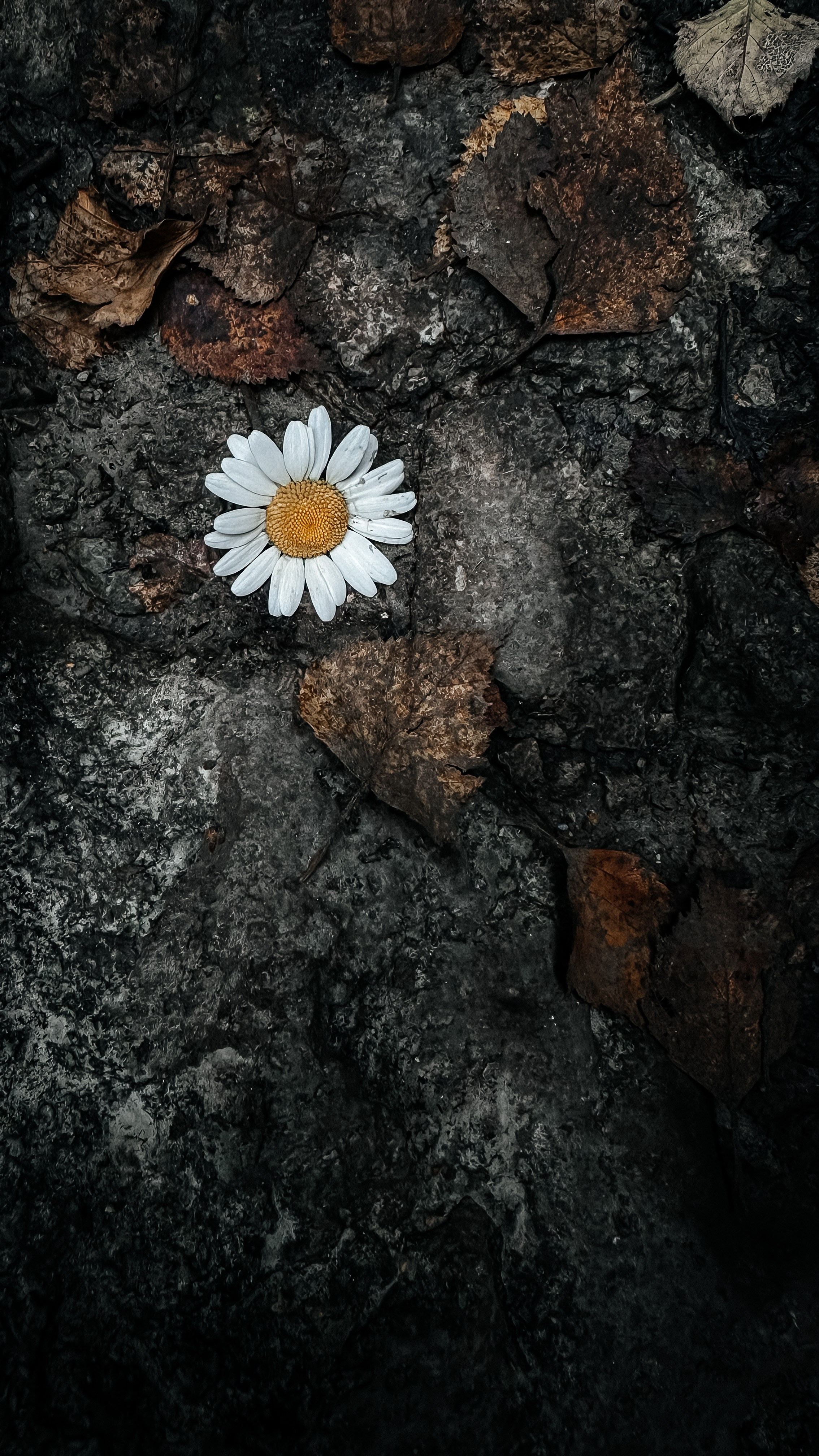 Nature. Оля Валиахметова — портретный и репортажный фотограф из Екатеринбурга