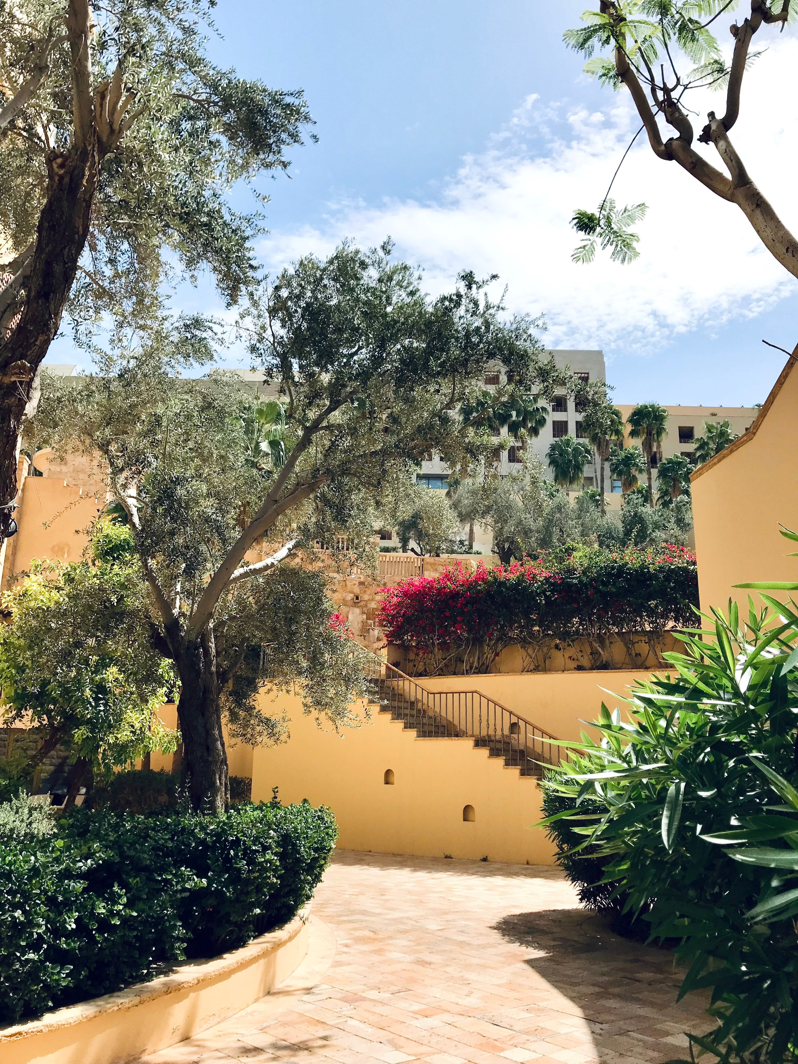 Иордания. Портретный фотограф в Москве Гульнара Миннуллина