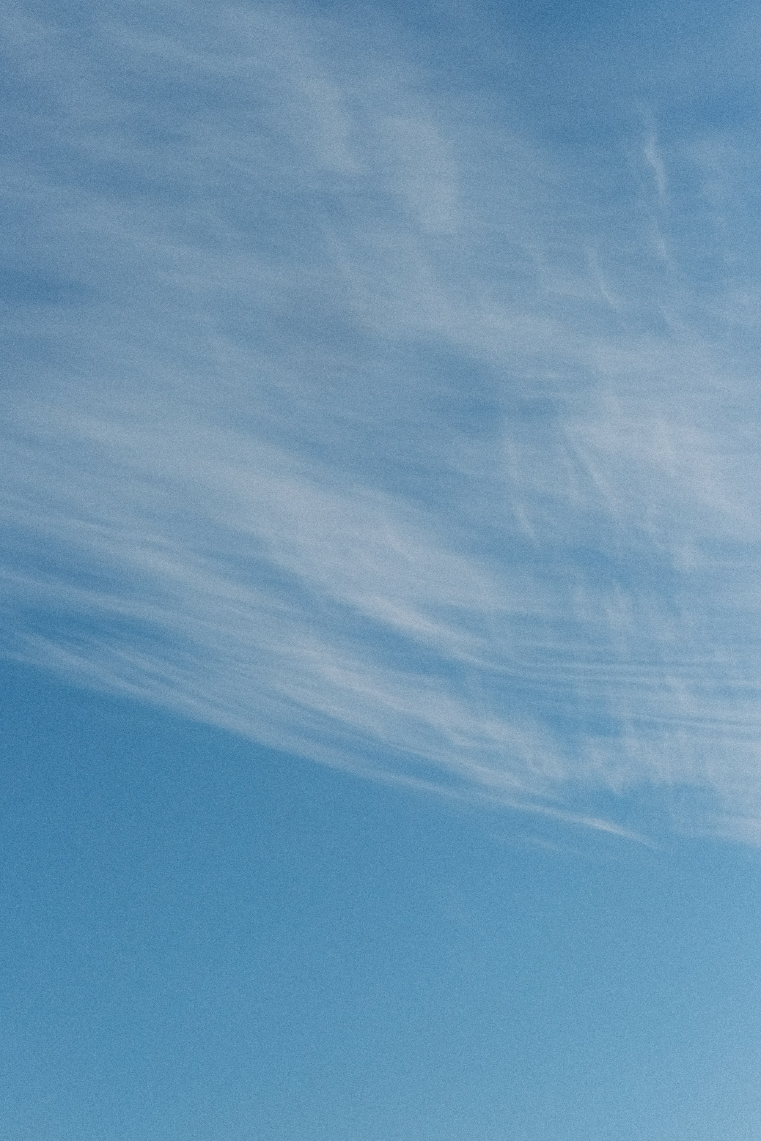 Наблюдения. Семейный фотограф в Новосибирске Артём Кузнецов