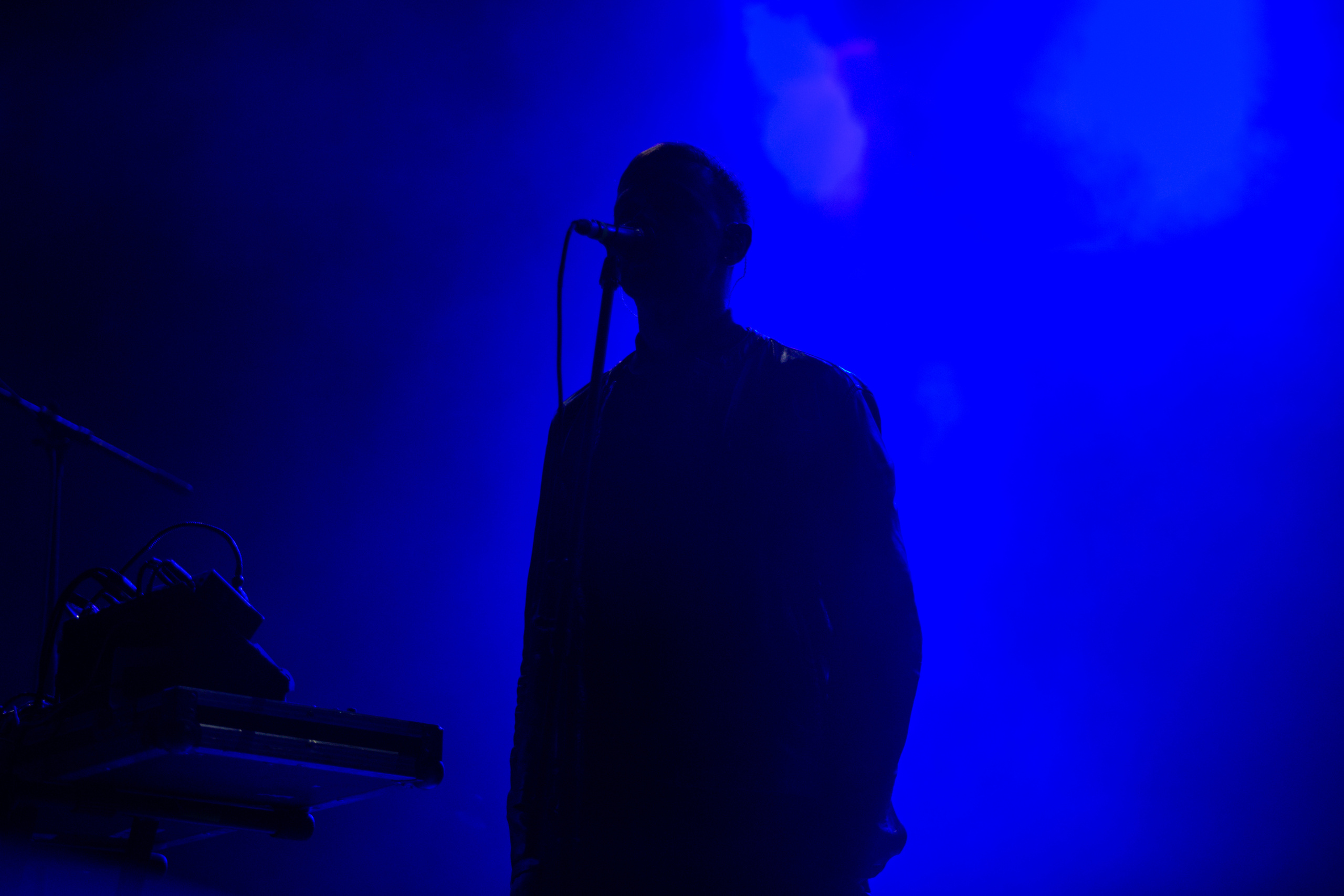 Дельфин. Фотограф Сонкина Татьяна