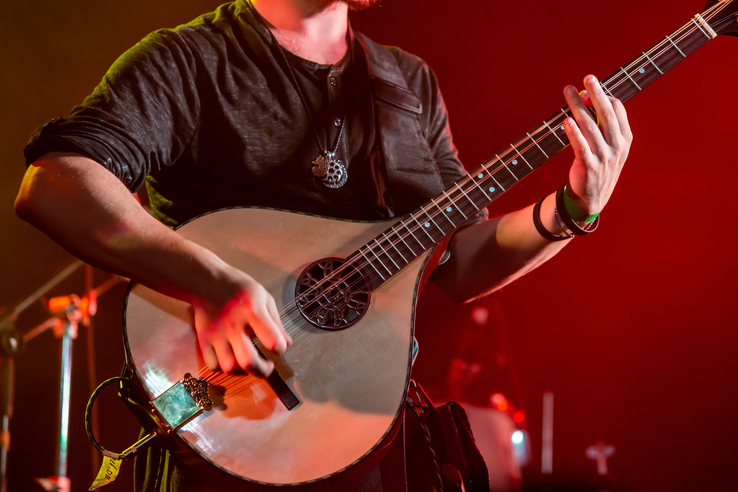 ARGEMONIA. Фотограф Сонкина Татьяна