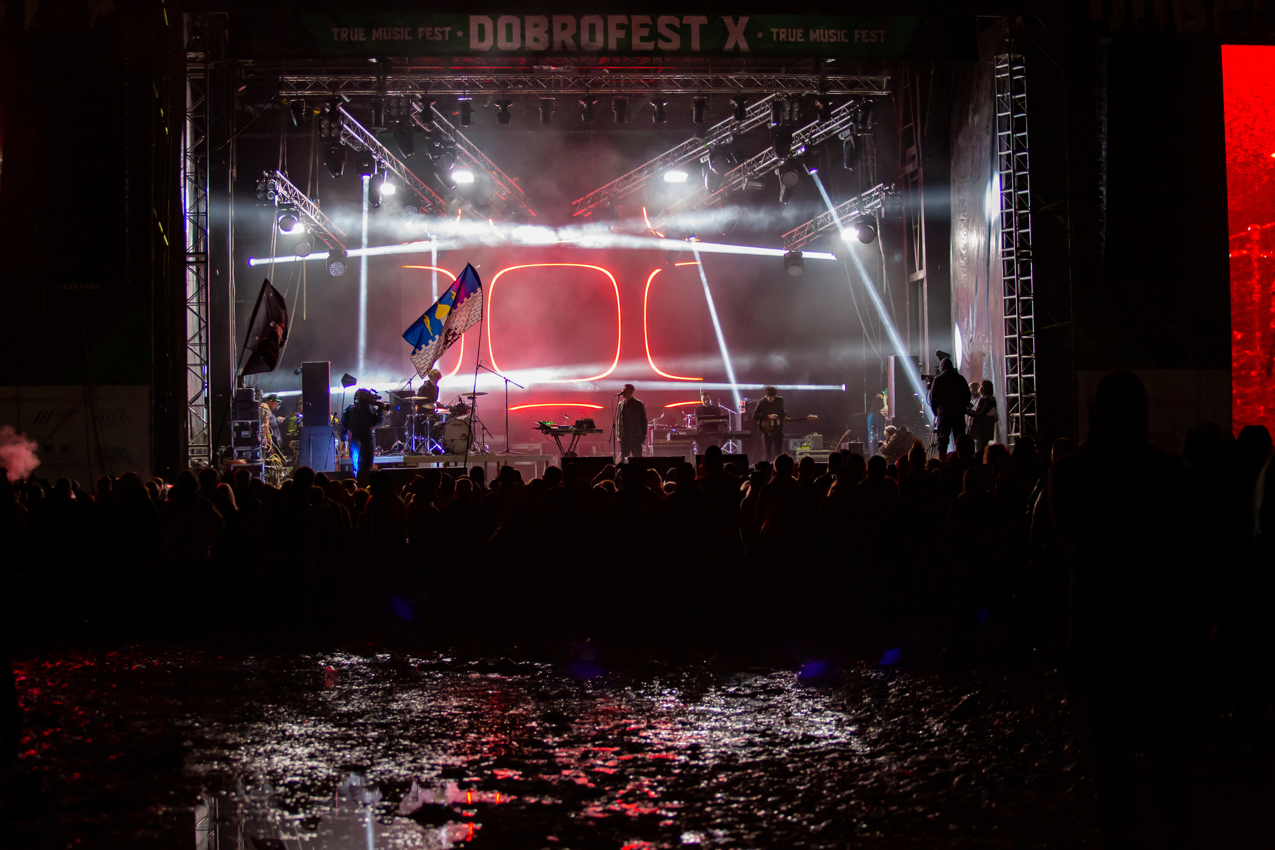 Дельфин. Фотограф Сонкина Татьяна