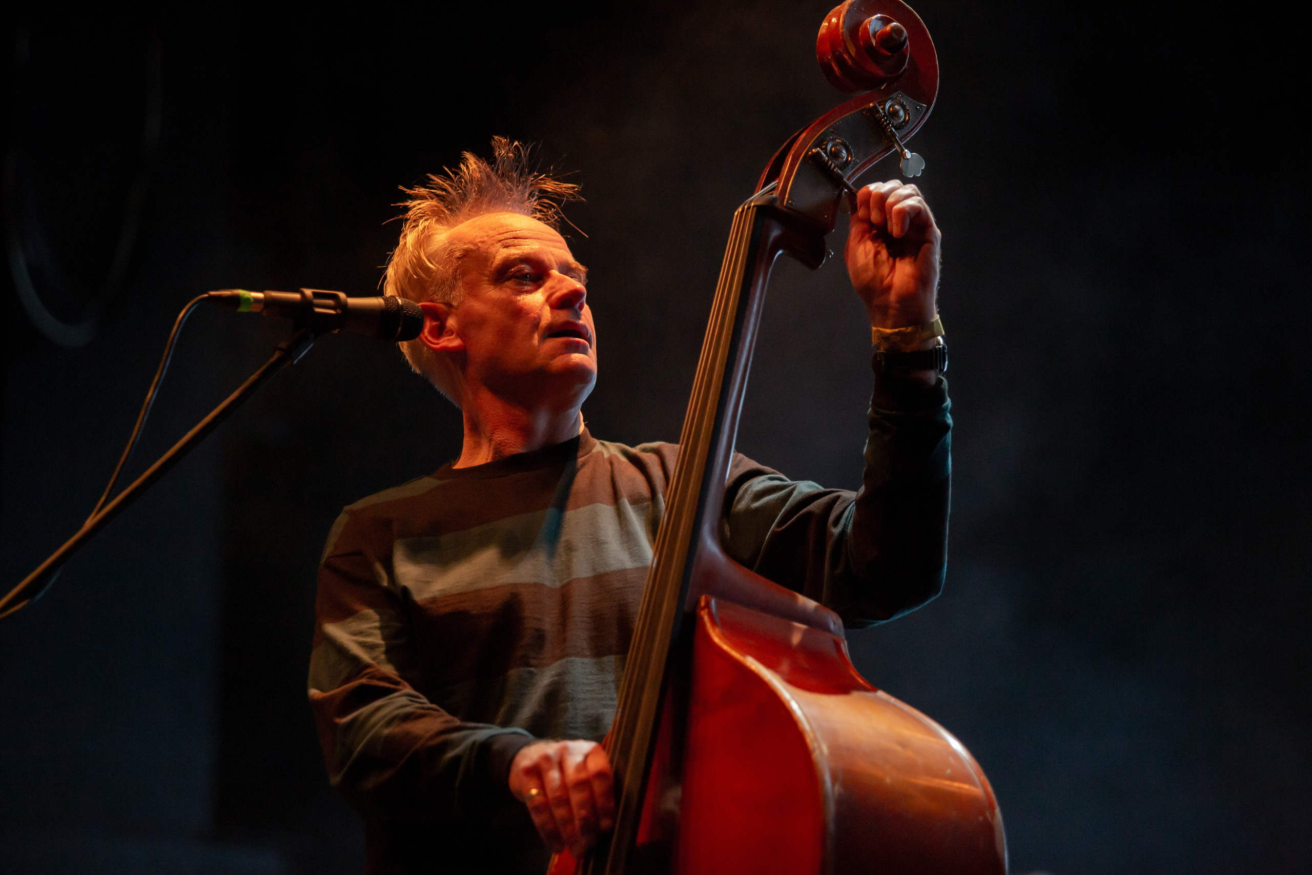 Red Snapper. Photographer Sonkina Tatiana (Tanya Ash)