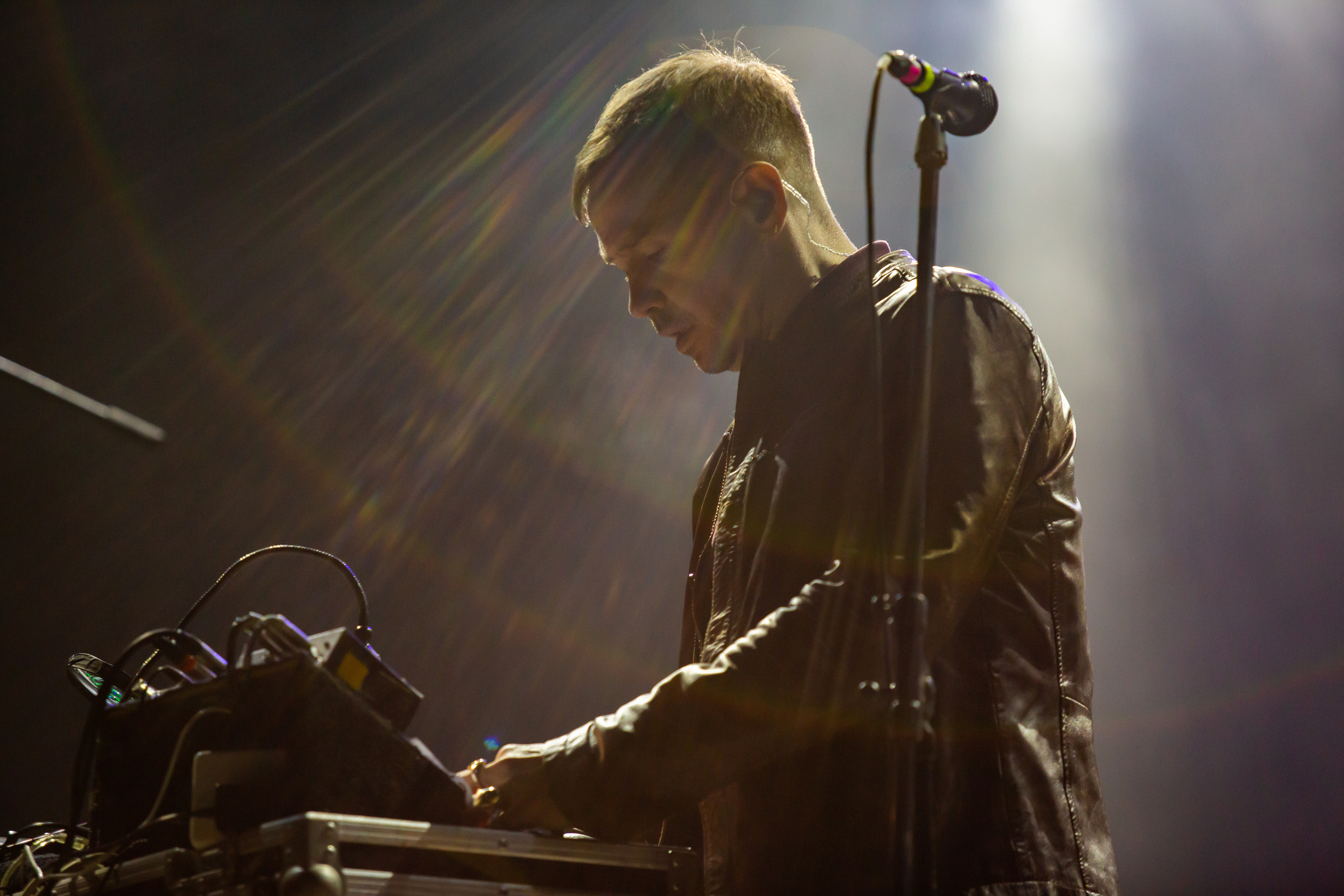 Дельфин. Фотограф Сонкина Татьяна