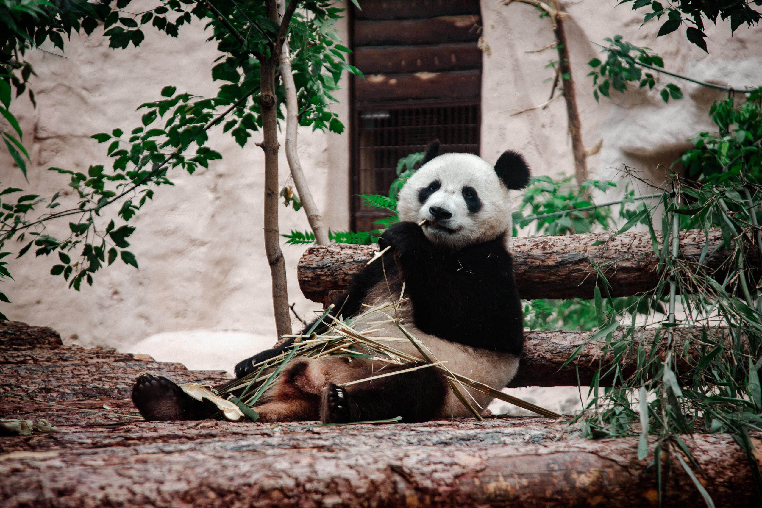 Московский зоопарк. Photographer Sonkina Tatiana (Tanya Ash)