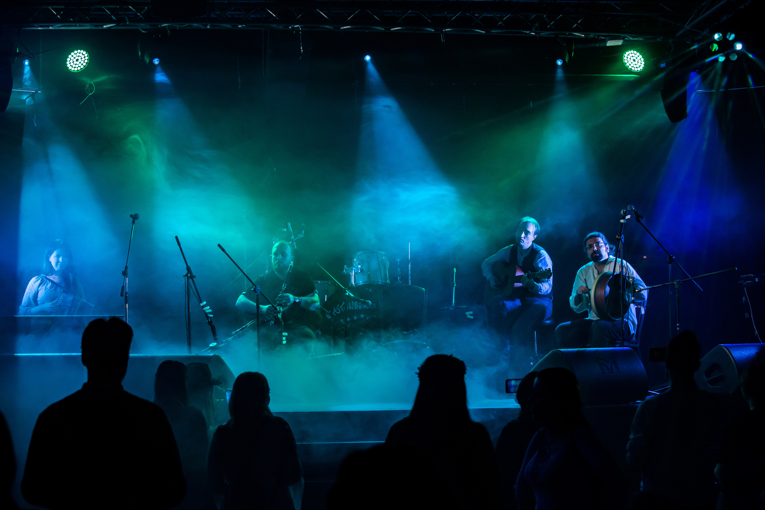 BLIND HARPER. Фотограф Сонкина Татьяна