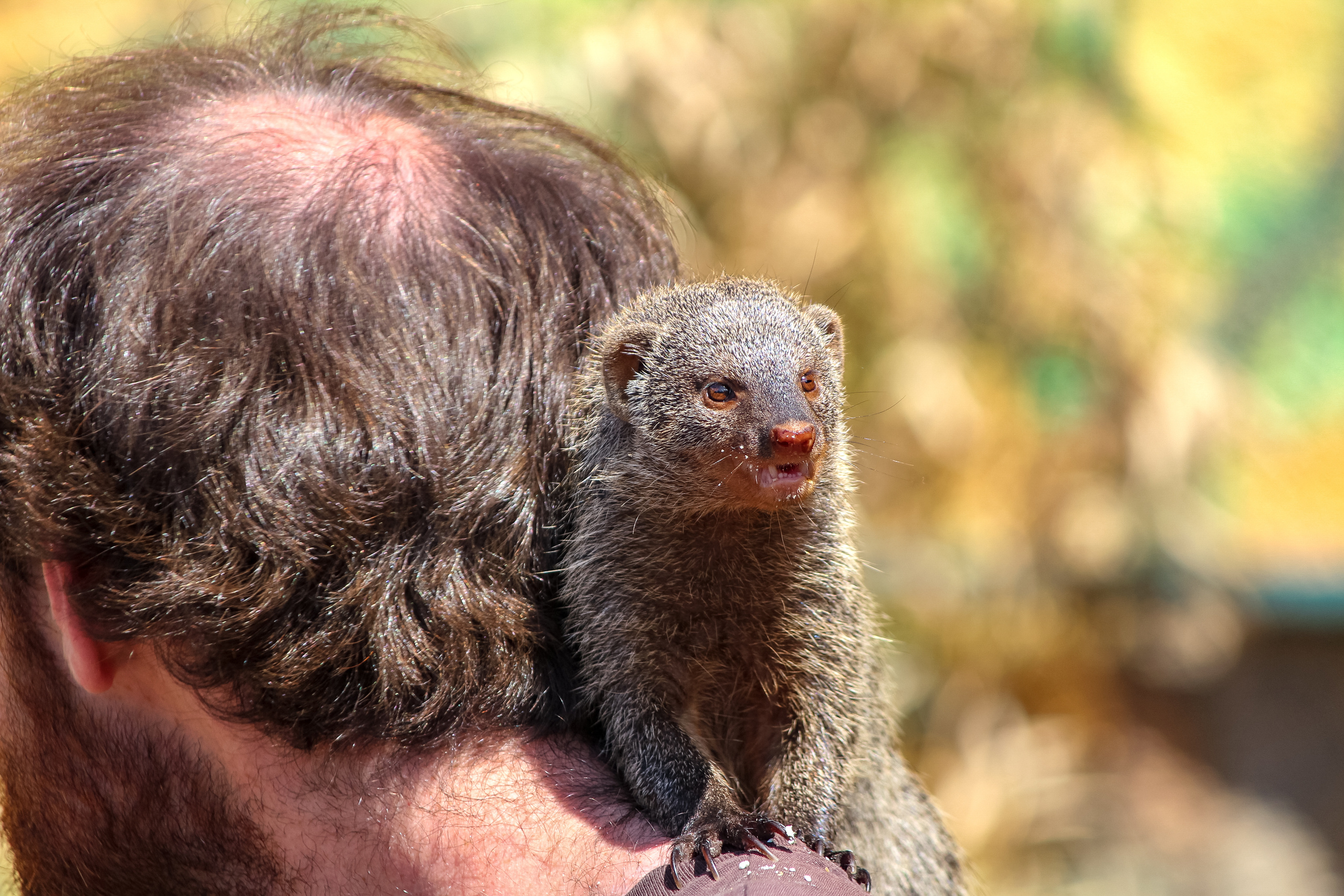 Московский зоопарк. Photographer Sonkina Tatiana (Tanya Ash)