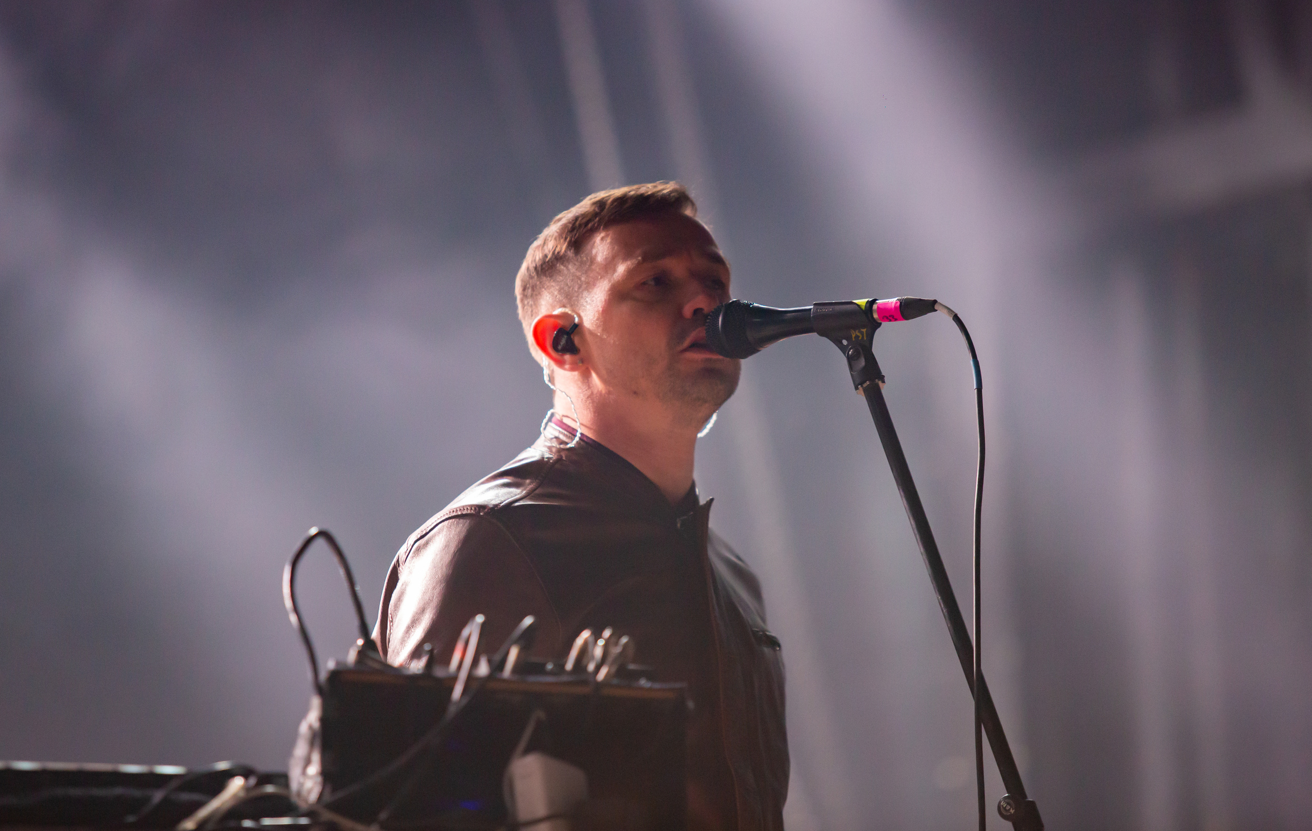 Дельфин. Фотограф Сонкина Татьяна