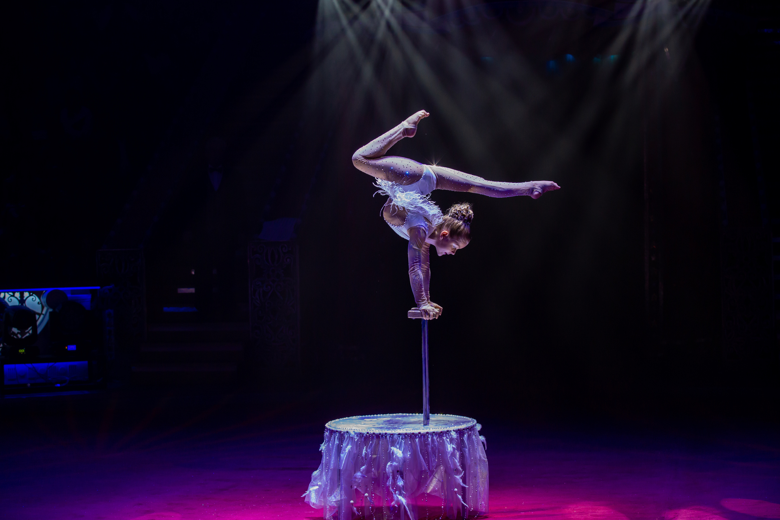 МОСКОВСКИЙ МЕЖДУНАРОДНЫЙ МОЛОДЕЖНЫЙ ФЕСТИВАЛЬ-КОНКУРС ЦИРКОВОГО ИСКУССТВА 2019. Фотограф Сонкина Татьяна