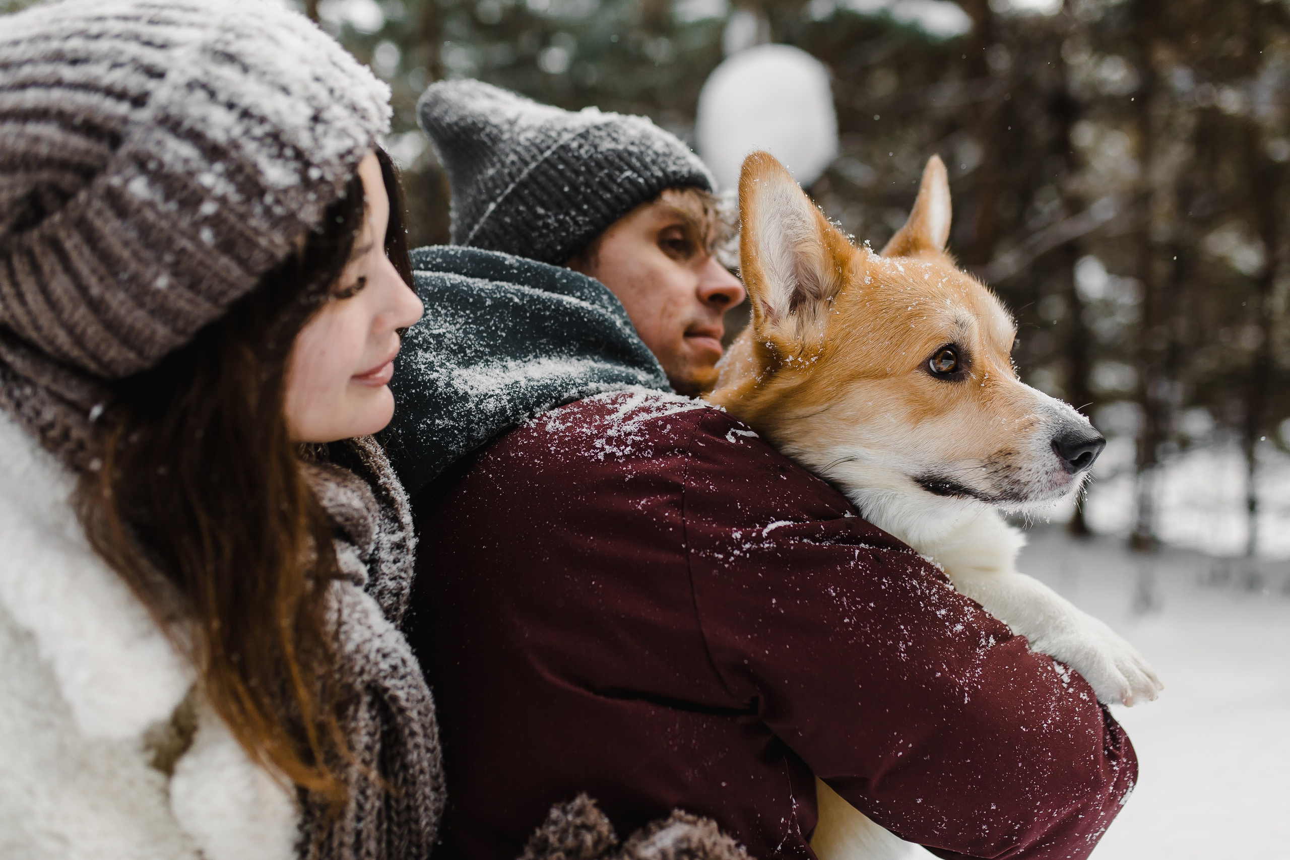 Дима и Даша. Свадебный и семейный фотограф в Томске Алексей