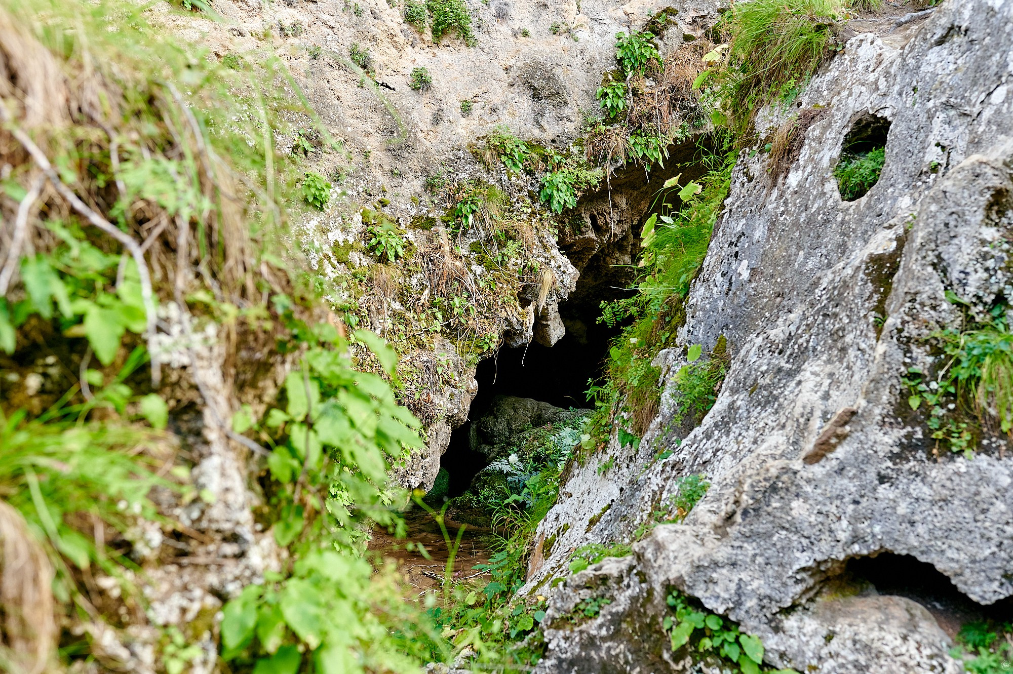 Кисловодск, Россия. Август 2024. Фотографии отовсюду и обо всем