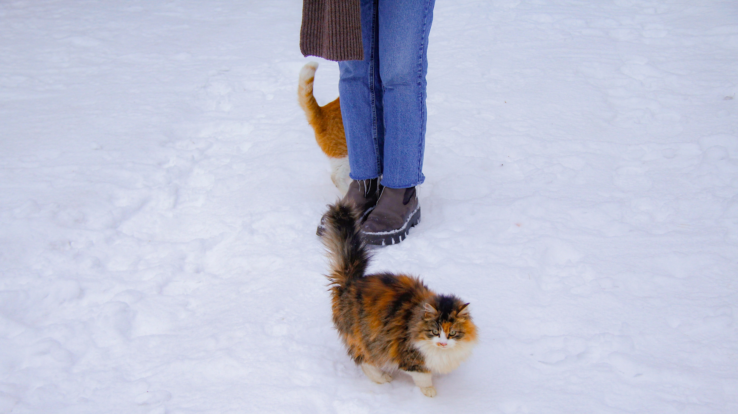 Зимние ветры дуют с озера. Натали. Janie valde |photographer & visual artist