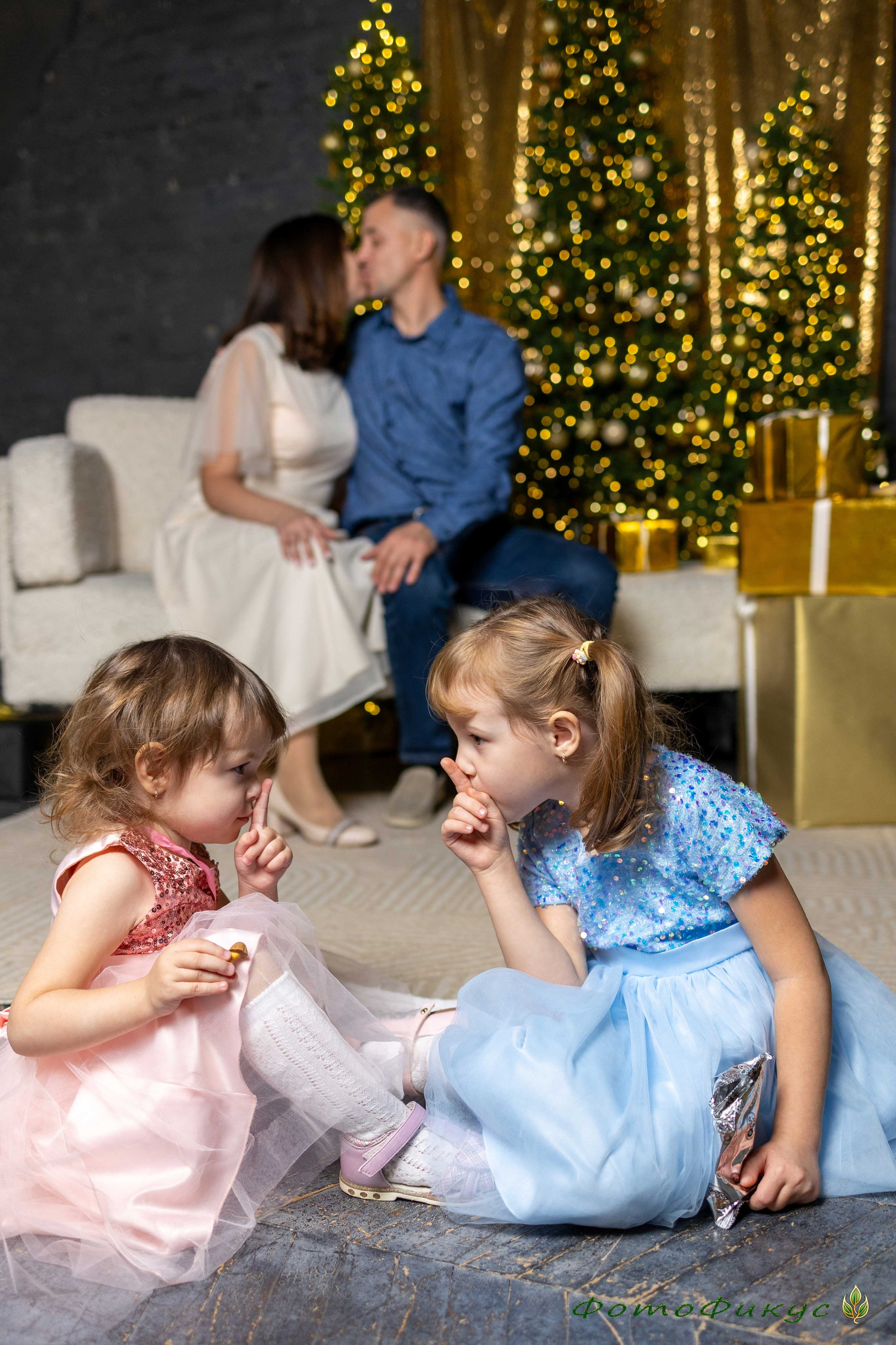 Новогодние. Фотографы Евгений и Екатерина. Фотофикус. Тюмень