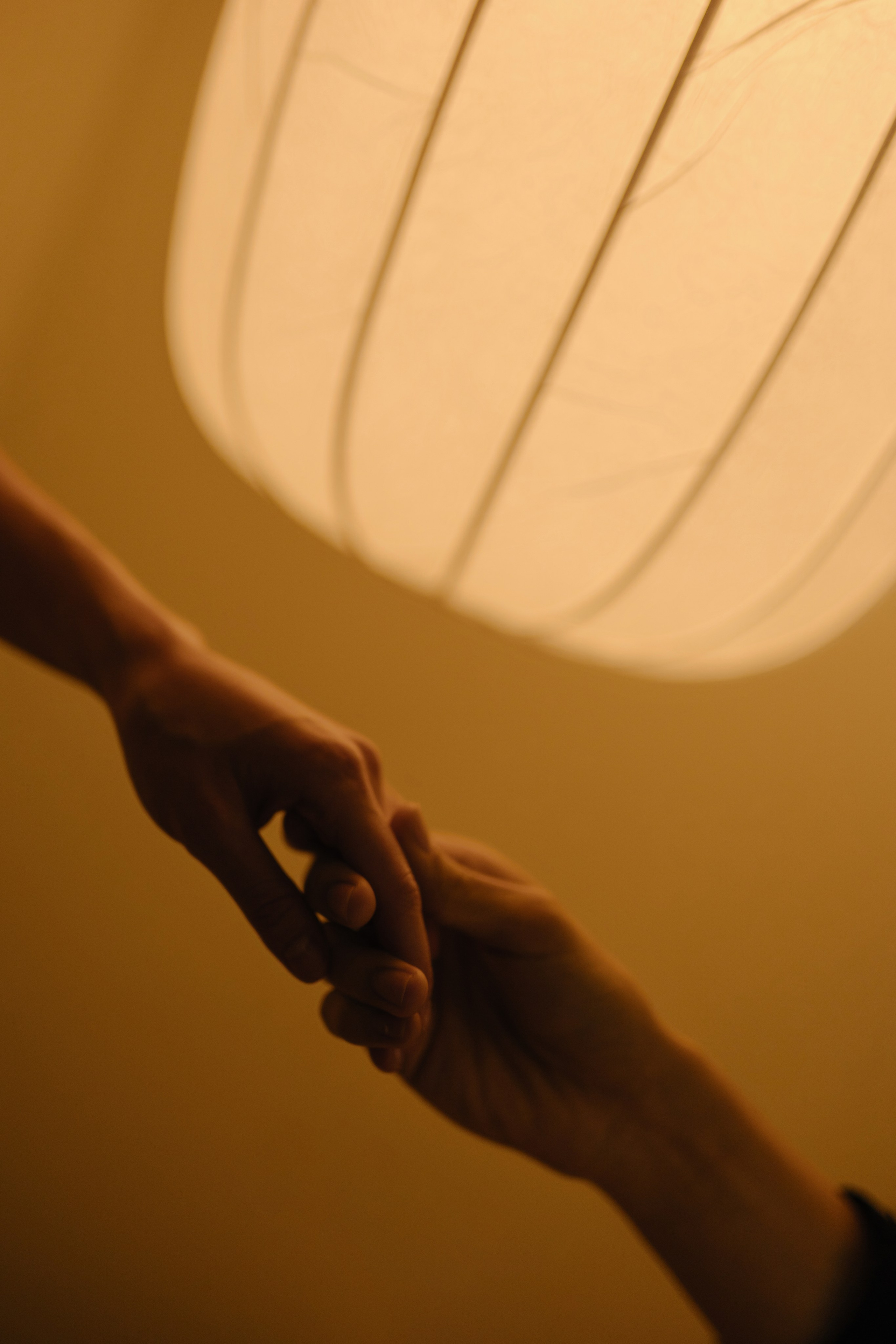 Свадебный и портретный фотограф в Москве, Туле и Брянске Дара Евсеева