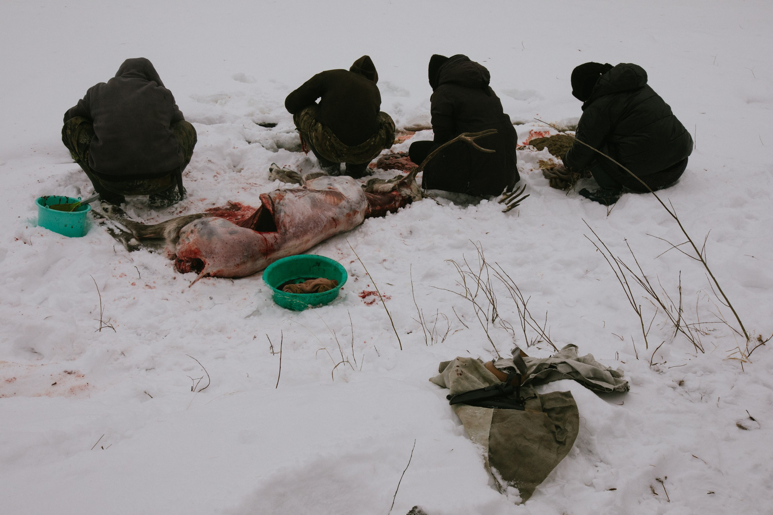 Не забудь накормить озеро. Natalya Madilyan