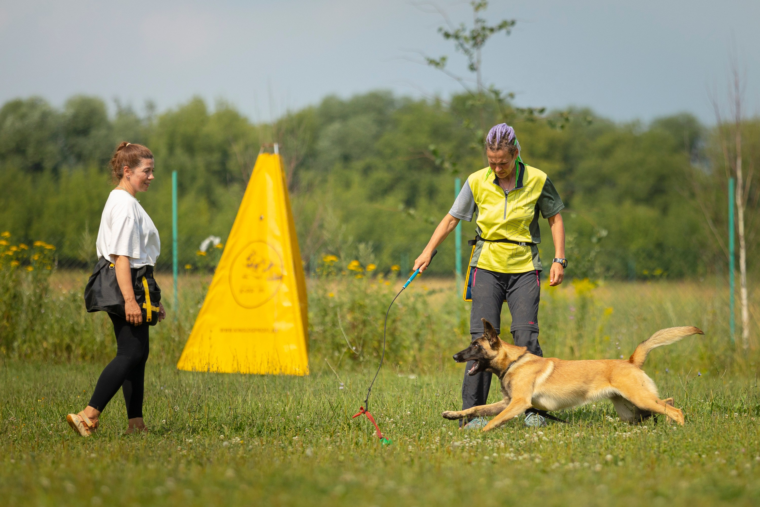 ЗКС. Фотограф анималист, семейный фотограф, фотограф собак Комратова Мария. г. Москва