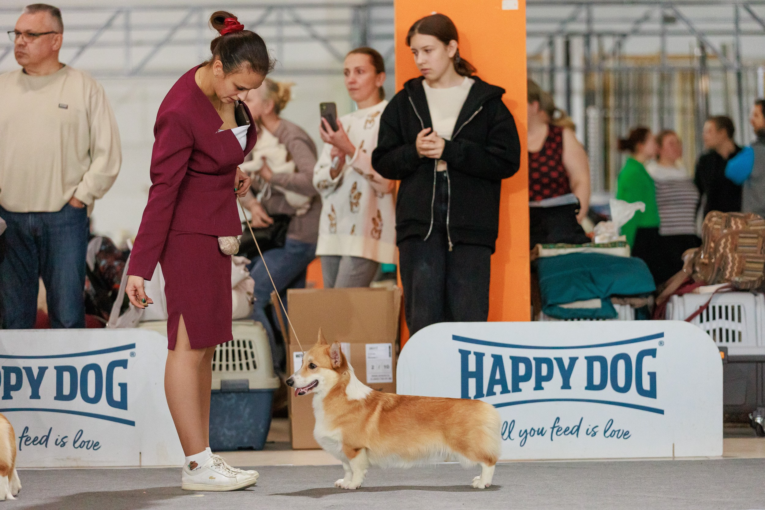 Бронницы. Фотограф анималист, семейный фотограф, фотограф собак Комратова Мария. г. Москва