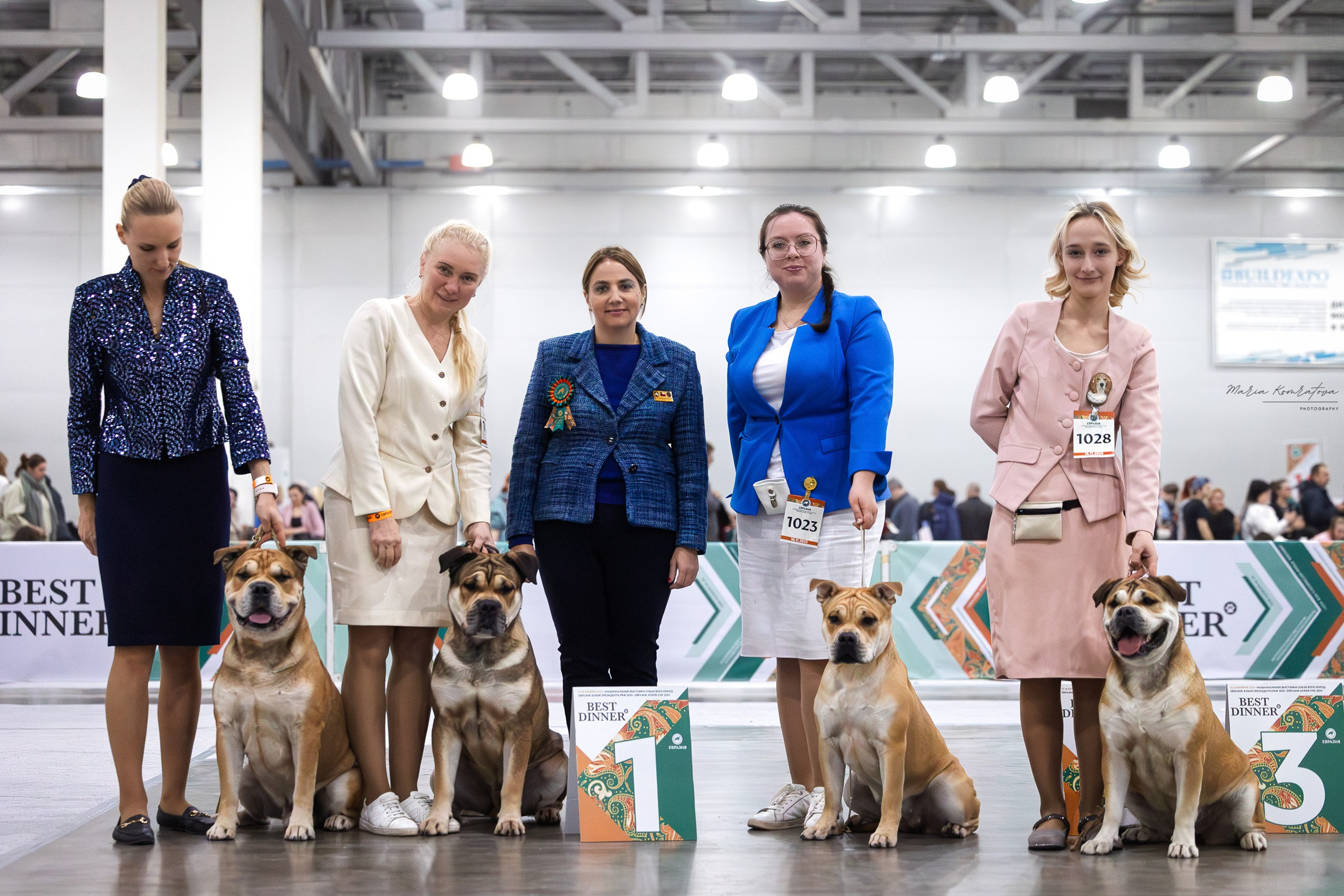 Евразия 2025 съемка в ринге на выставке собак, фотограф собак на выставке. Фотограф анималист, семейный фотограф, фотограф собак Комратова Мария. г. Москва