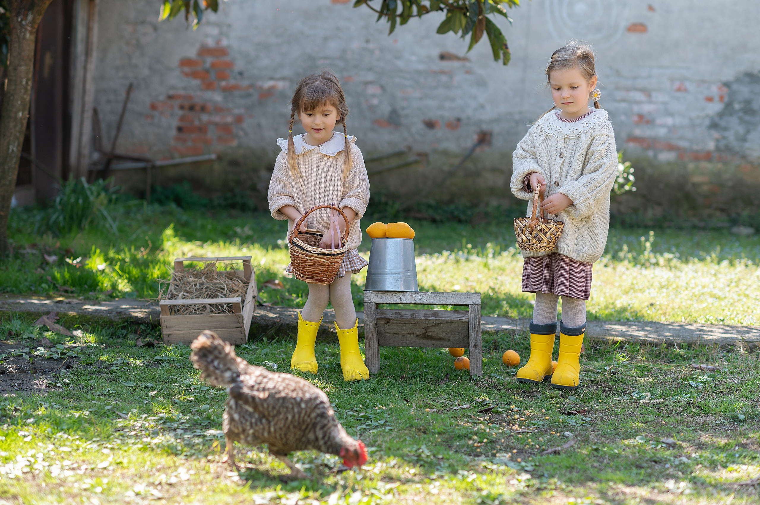 Курочки. Детский фотограф Абхазия