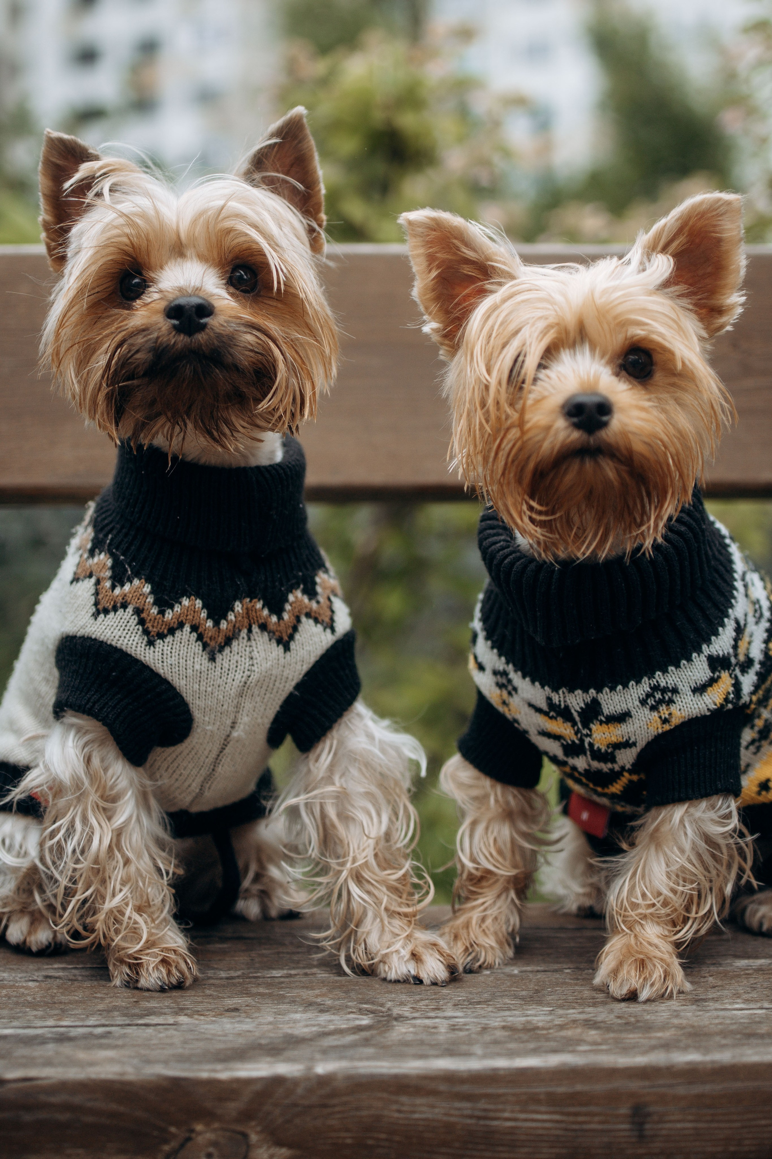 Семья Марины