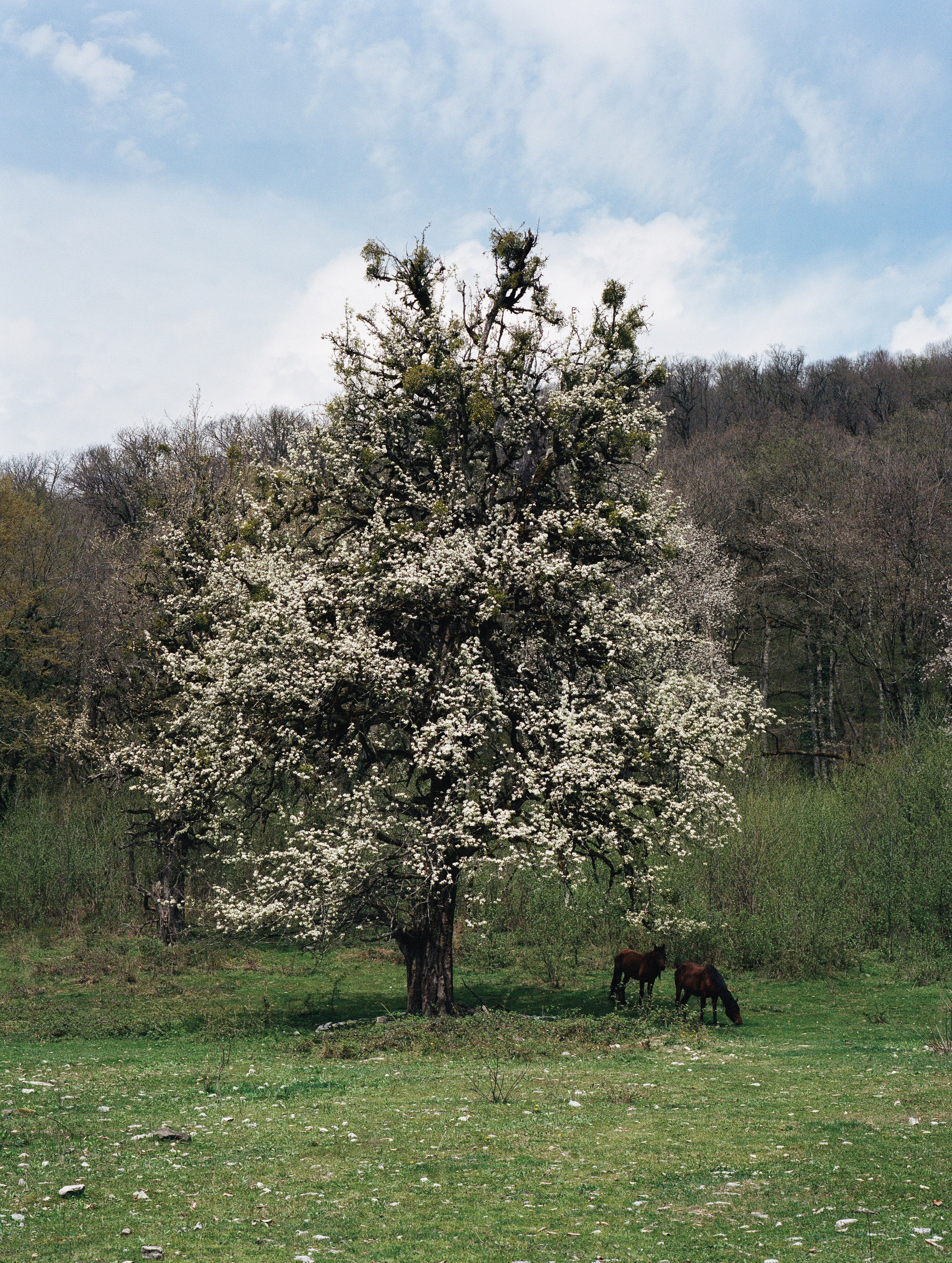 Художественное исследование «Остров, окруженный сушей». HOME
