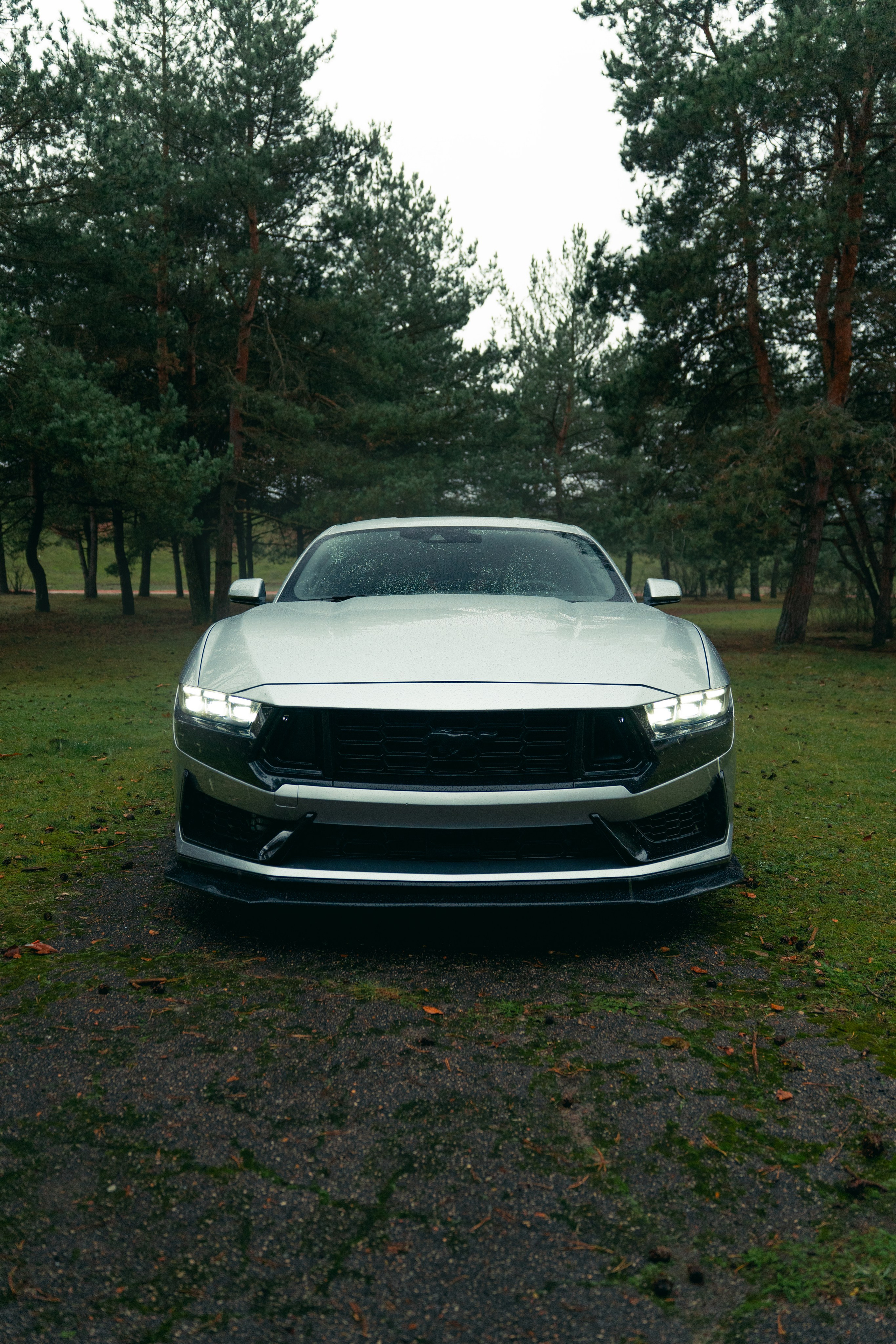 Фотографии Ford Mustang