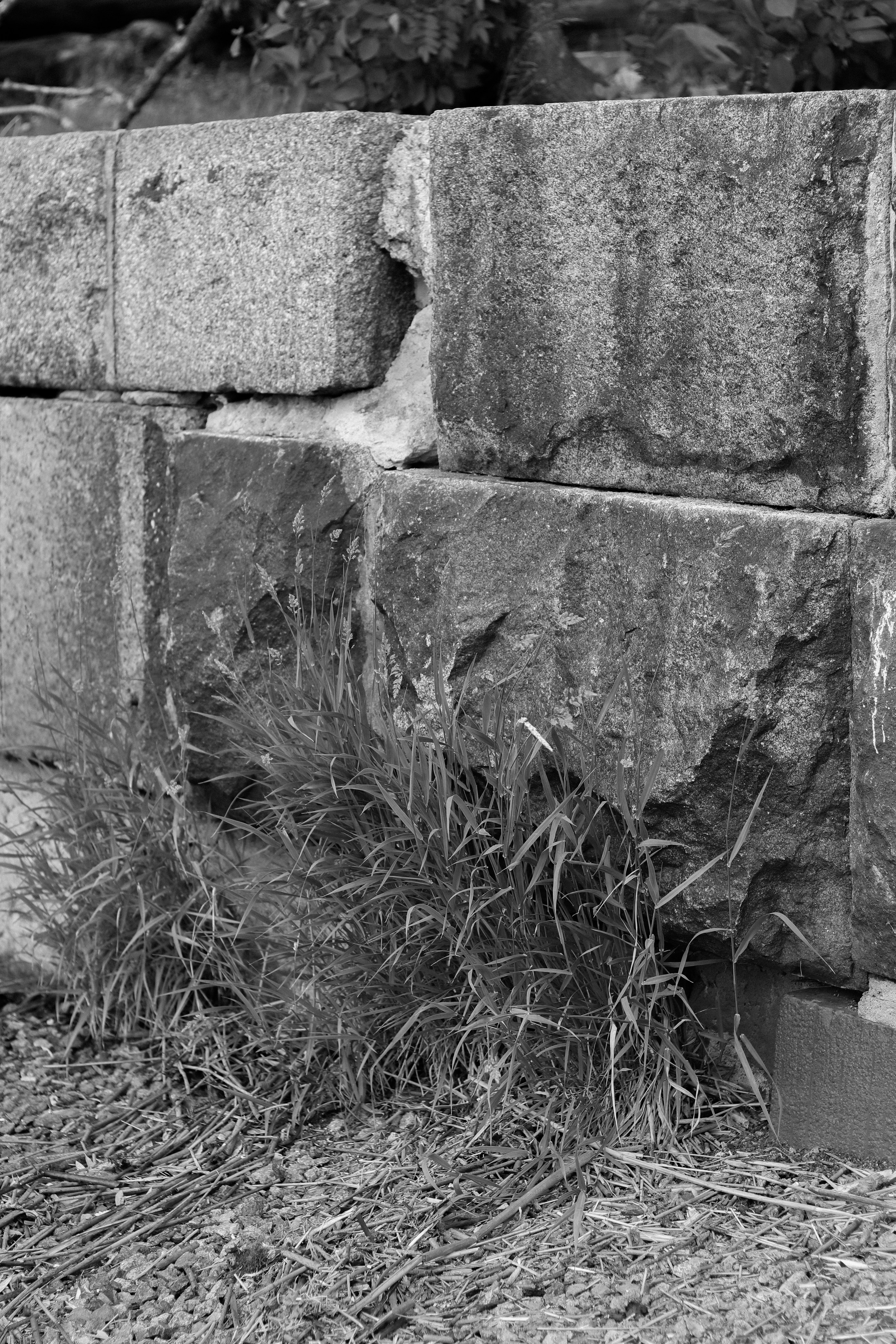 Contour. Фотограф и исследователь фотографии из Санкт-Петербурга Елизавета Веприцкая