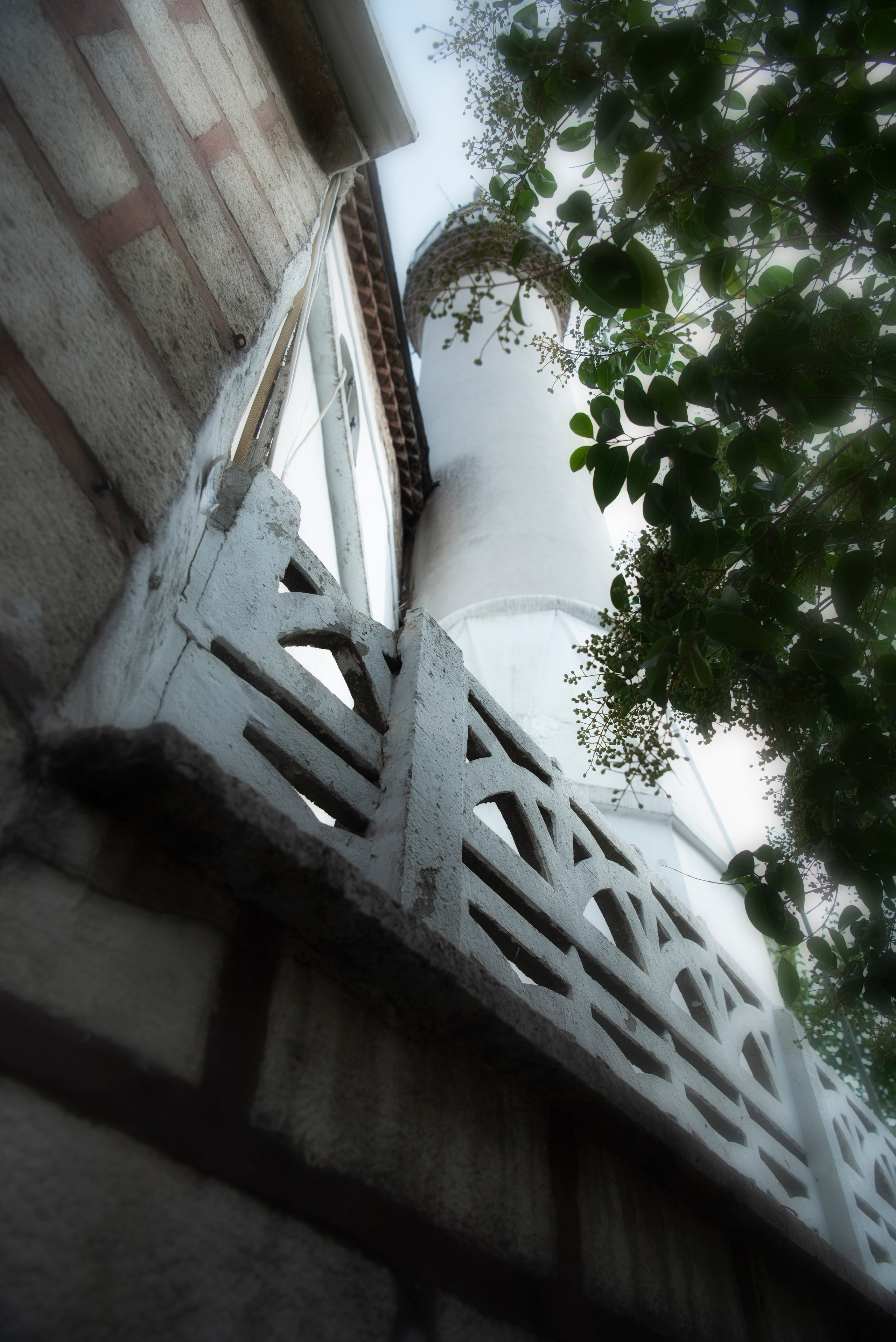 Стамбул. Фотограф Милена Яновска