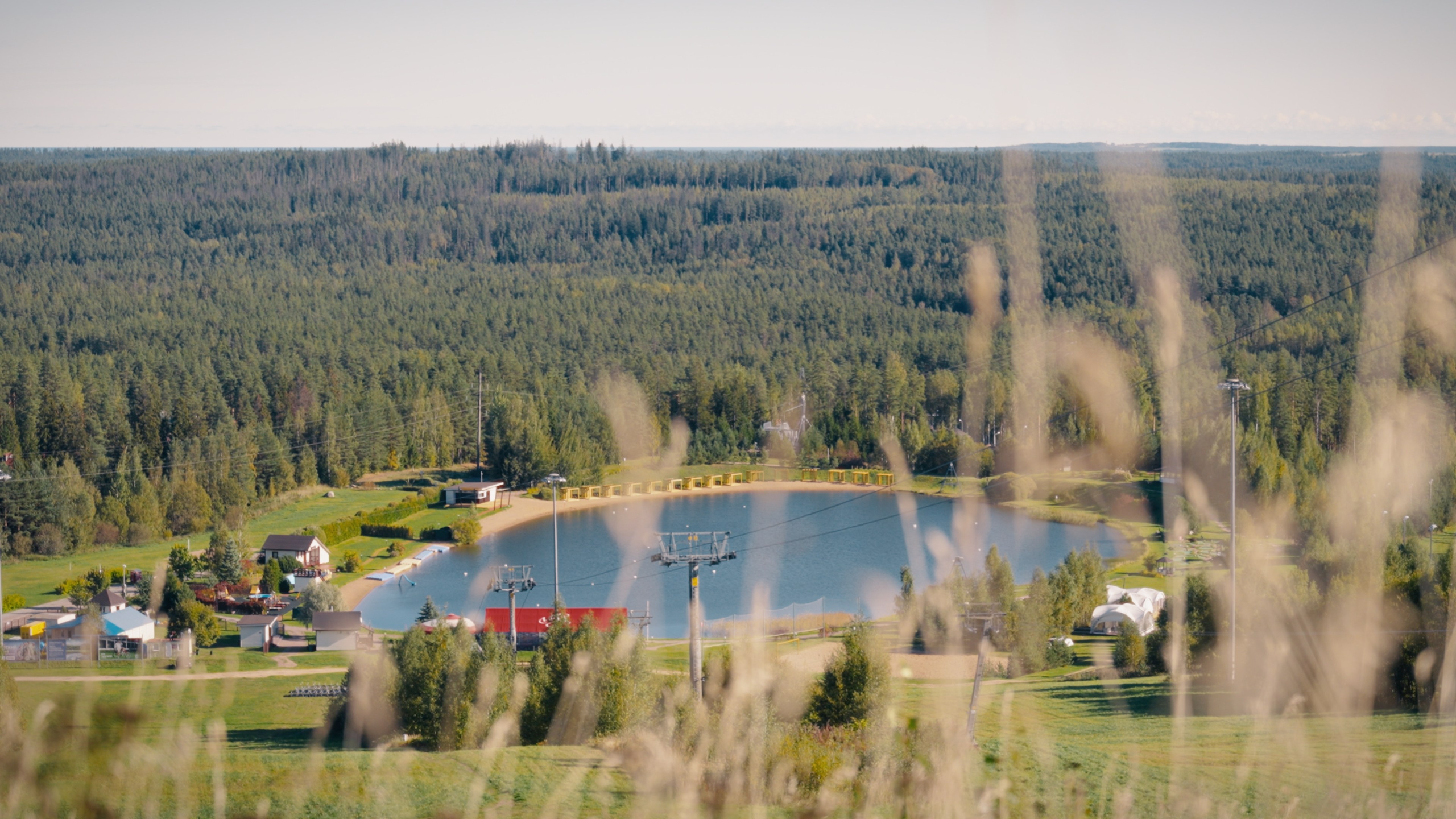 Тихолесье — Ваш дом и уют (promo). Цветокоррекция видео онлайн Иван Сержанов