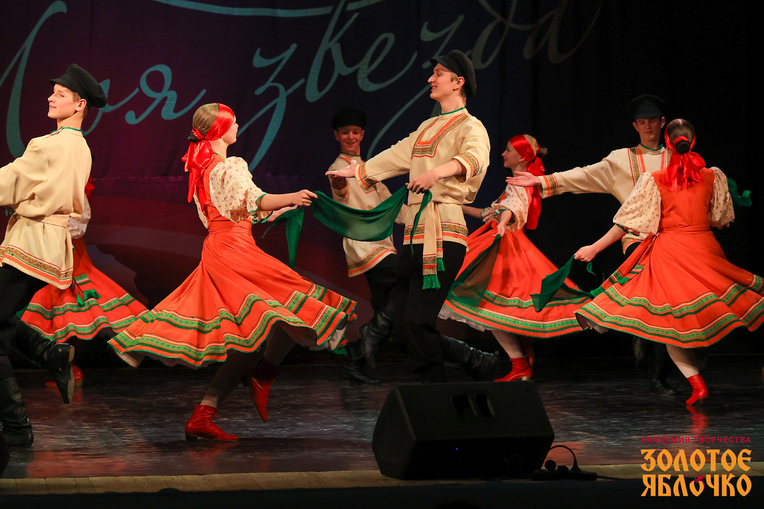 7 февраля, г. Петрозаводск. Золотое яблочко