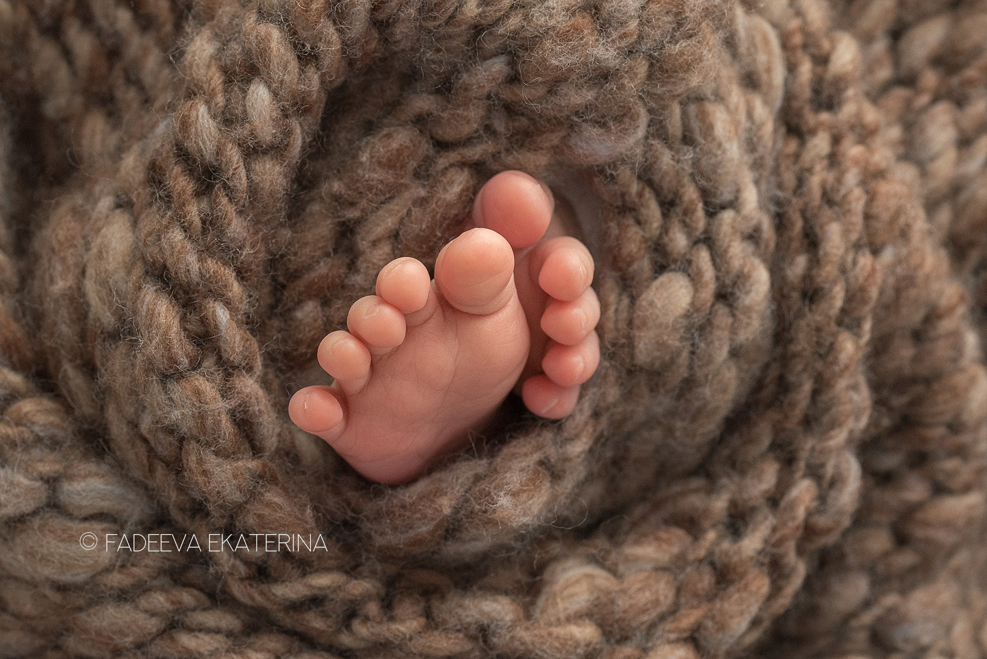 Новорожденные. Фотограф новорожденных Санкт-Петербург Екатерина Фадеева